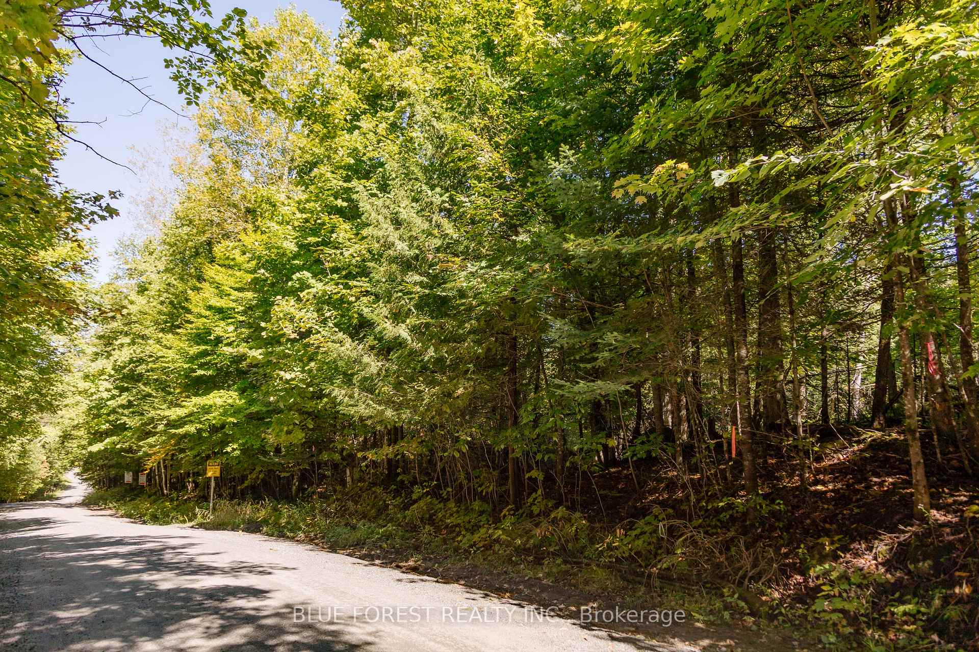 Photo 2 of lot 69 25th Line, Algonquin Highlands, Stanhope — HOMEH