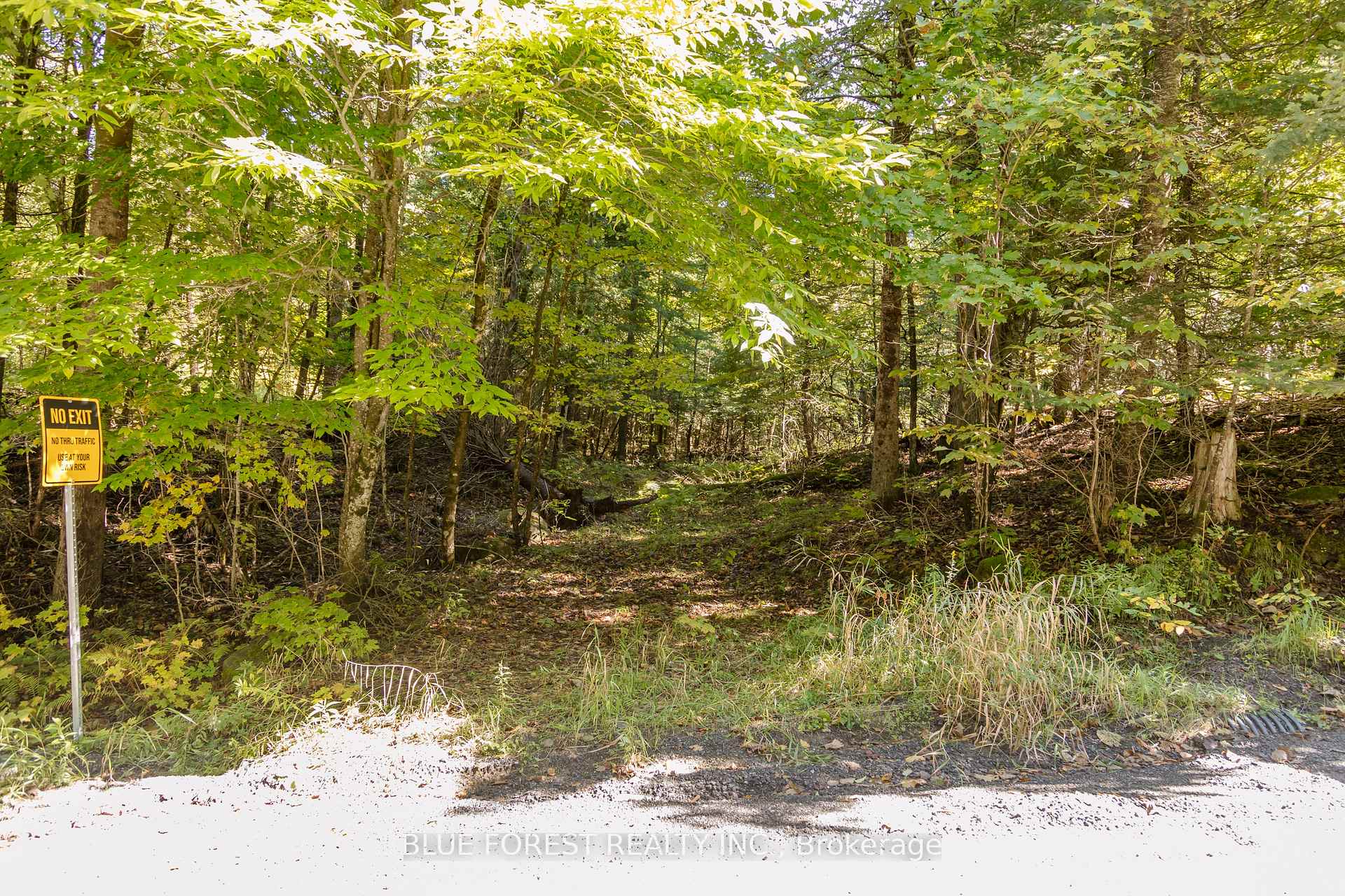 Photo 4 of lot 69 25th Line, Algonquin Highlands, Stanhope — HOMEH