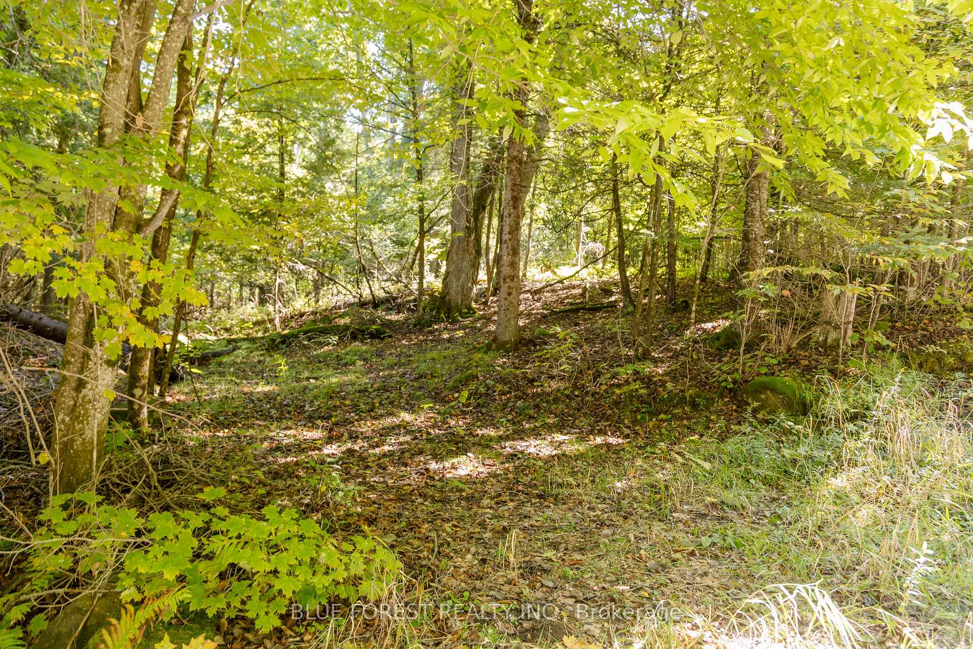 Photo 5 of lot 69 25th Line, Algonquin Highlands, Stanhope — HOMEH