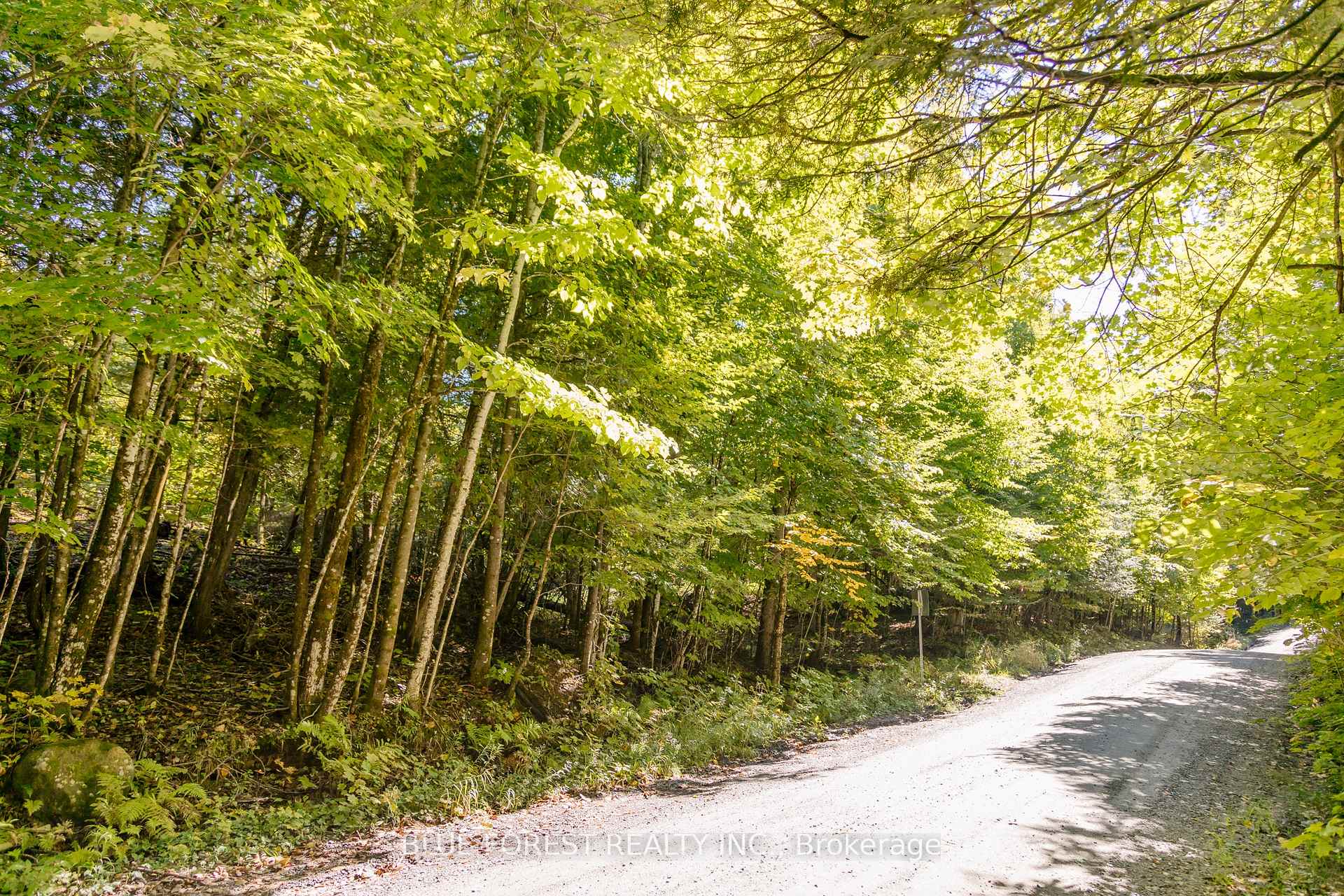 Photo 8 of lot 69 25th Line, Algonquin Highlands, Stanhope — HOMEH