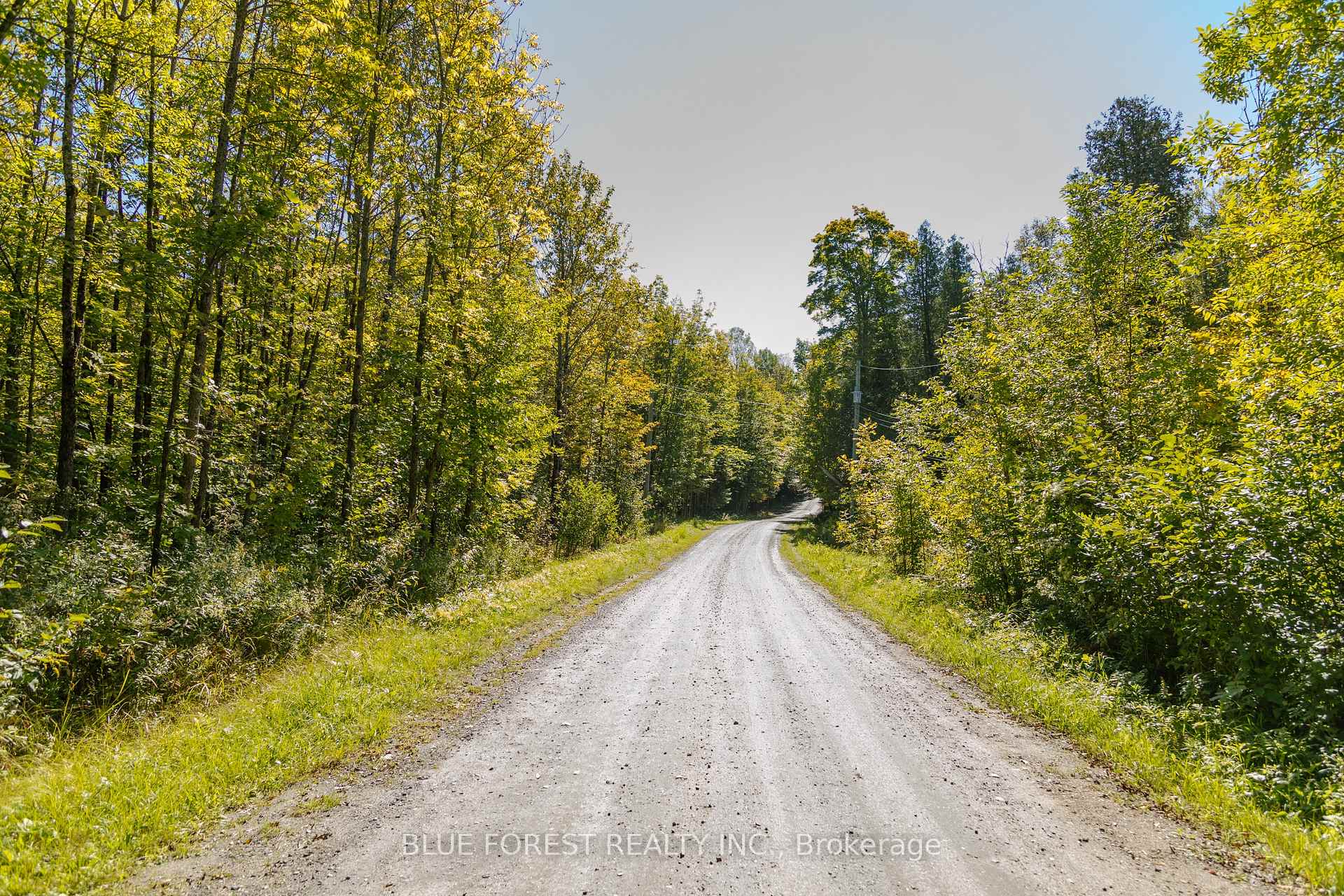 Photo 9 of lot 69 25th Line, Algonquin Highlands, Stanhope — HOMEH