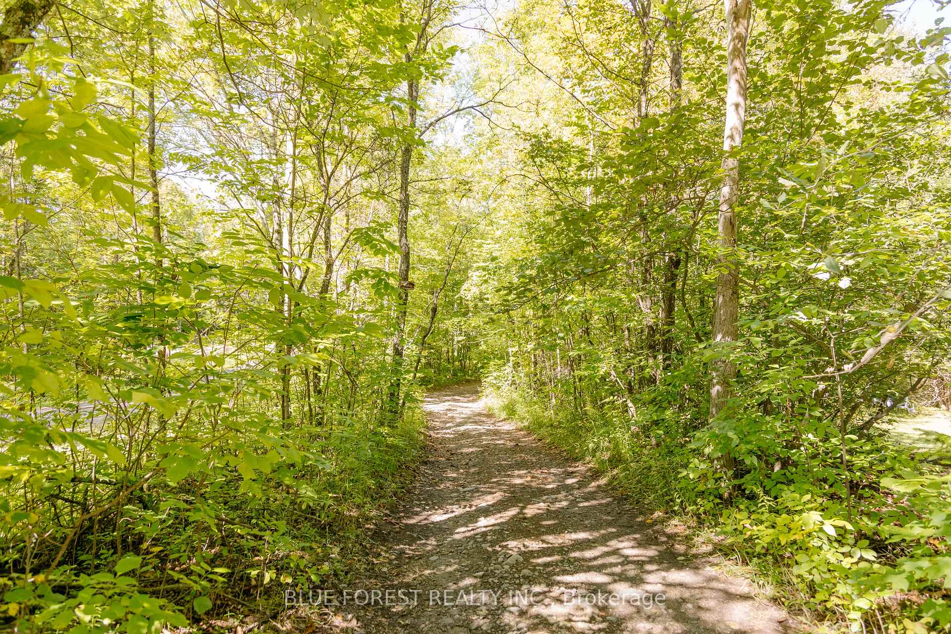 Photo 10 of lot 69 25th Line, Algonquin Highlands, Stanhope — HOMEH