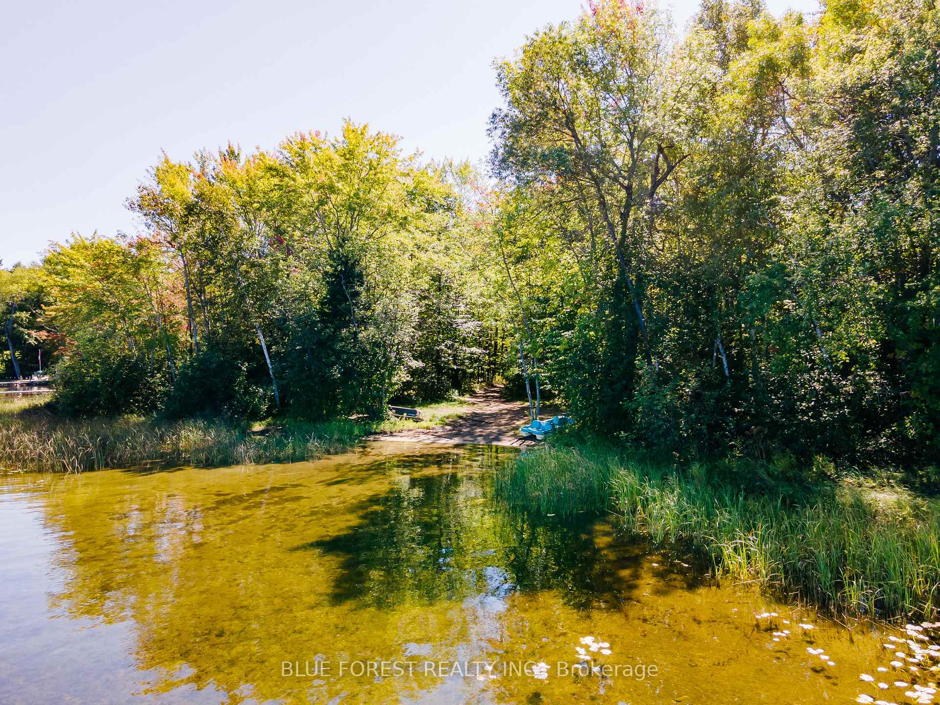 Photo 18 of lot 69 25th Line, Algonquin Highlands, Stanhope — HOMEH