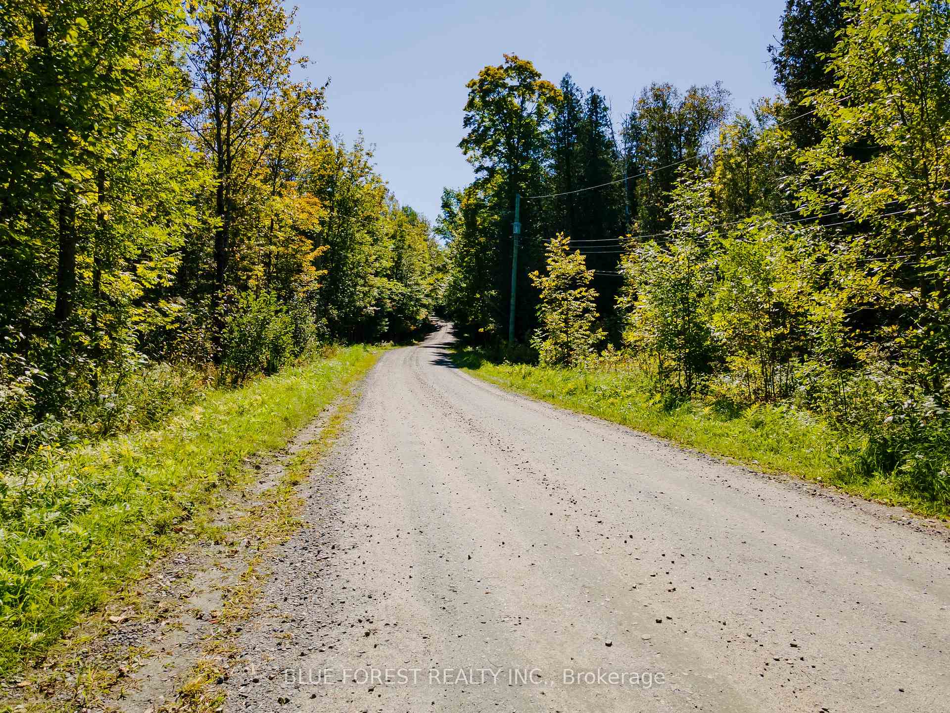 Photo 26 of lot 69 25th Line, Algonquin Highlands, Stanhope — HOMEH