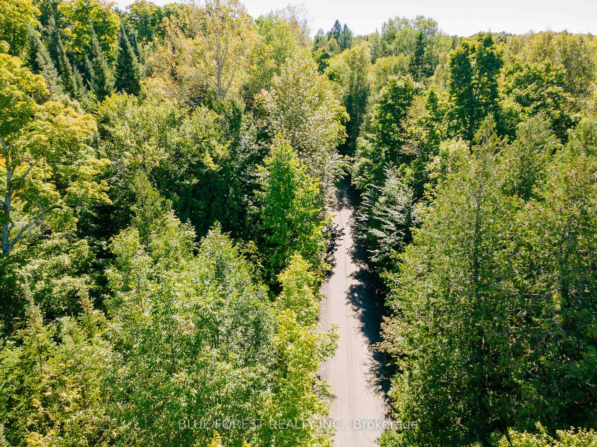 Photo 32 of lot 69 25th Line, Algonquin Highlands, Stanhope — HOMEH