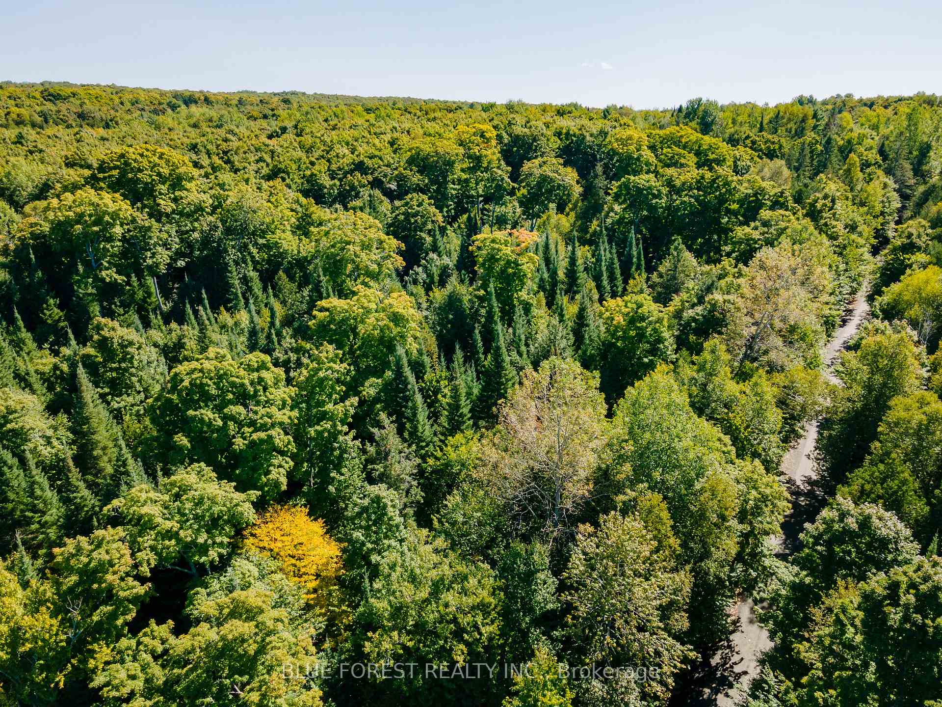 Photo 27 of lot 69 25th Line, Algonquin Highlands, Stanhope — HOMEH