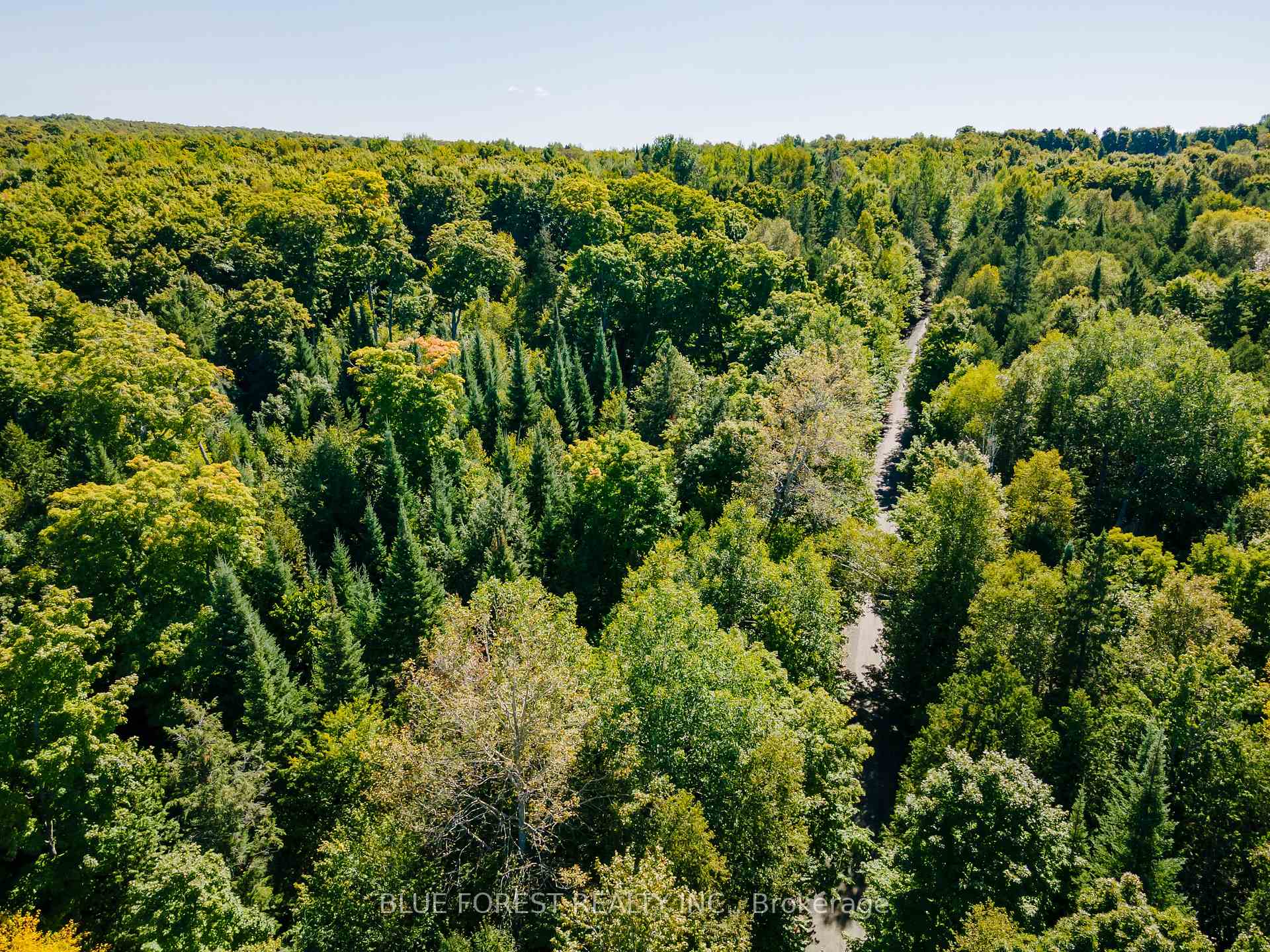 Photo 28 of lot 69 25th Line, Algonquin Highlands, Stanhope — HOMEH