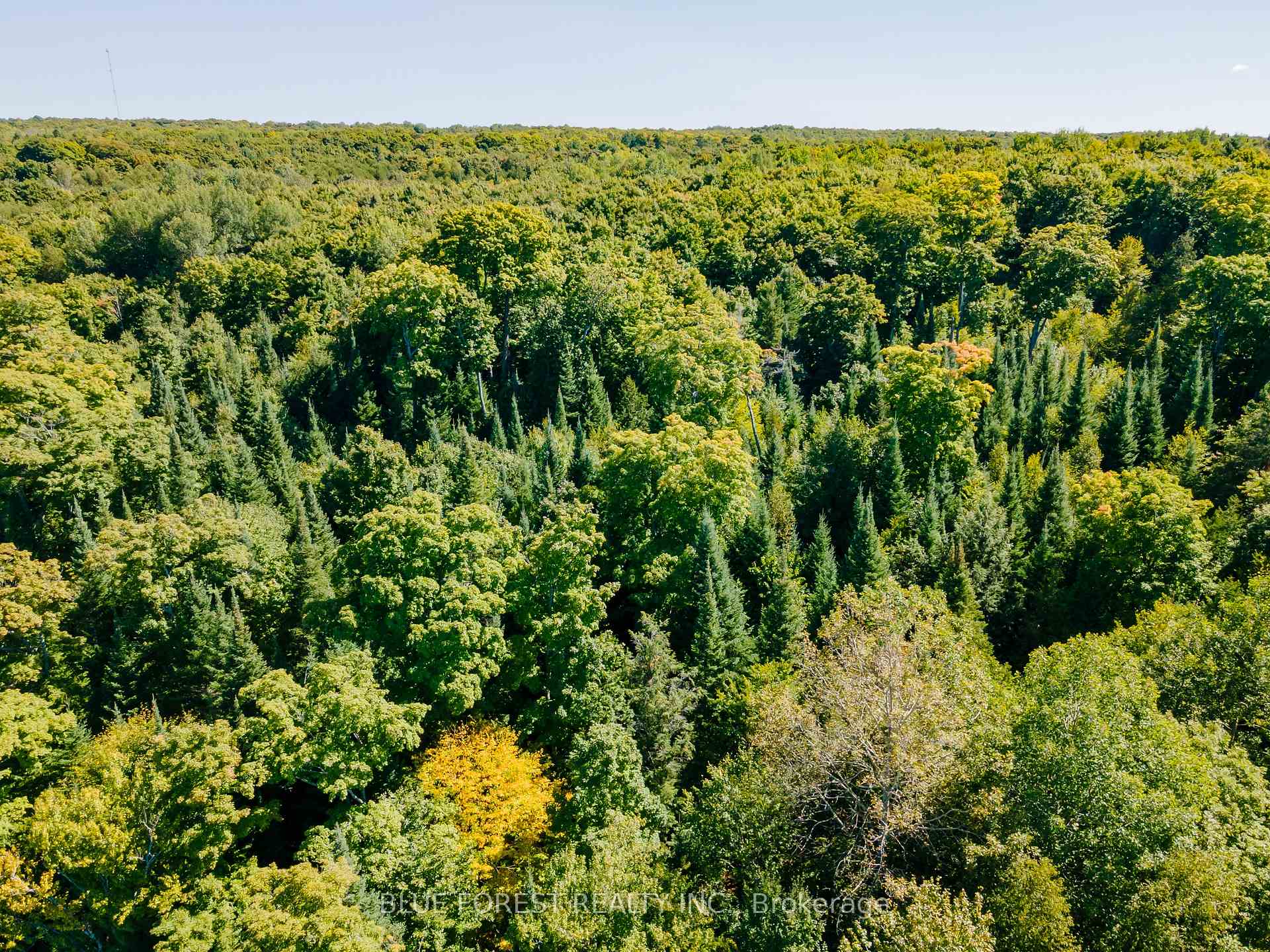 Photo 29 of lot 69 25th Line, Algonquin Highlands, Stanhope — HOMEH