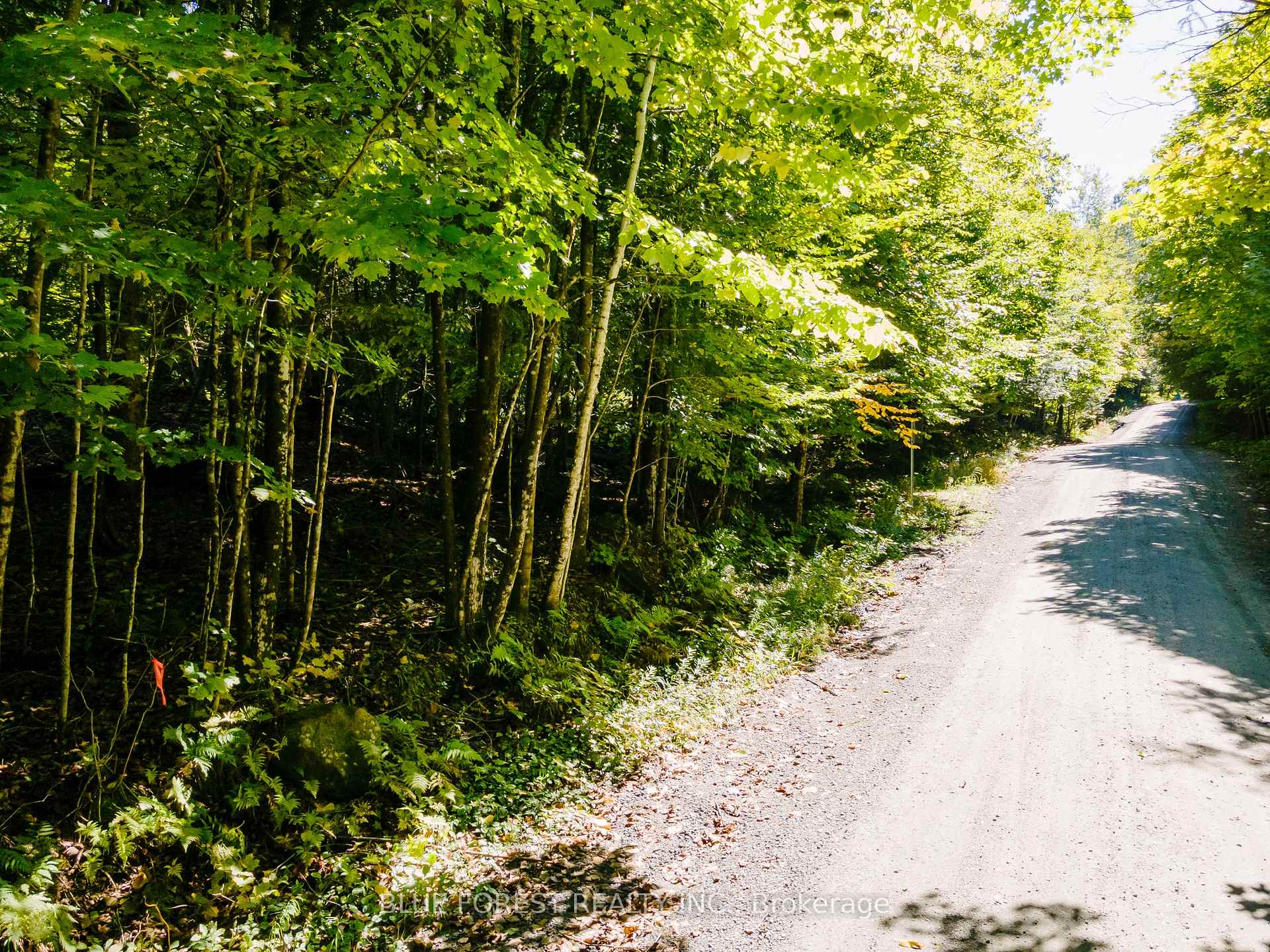 Photo 30 of lot 69 25th Line, Algonquin Highlands, Stanhope — HOMEH
