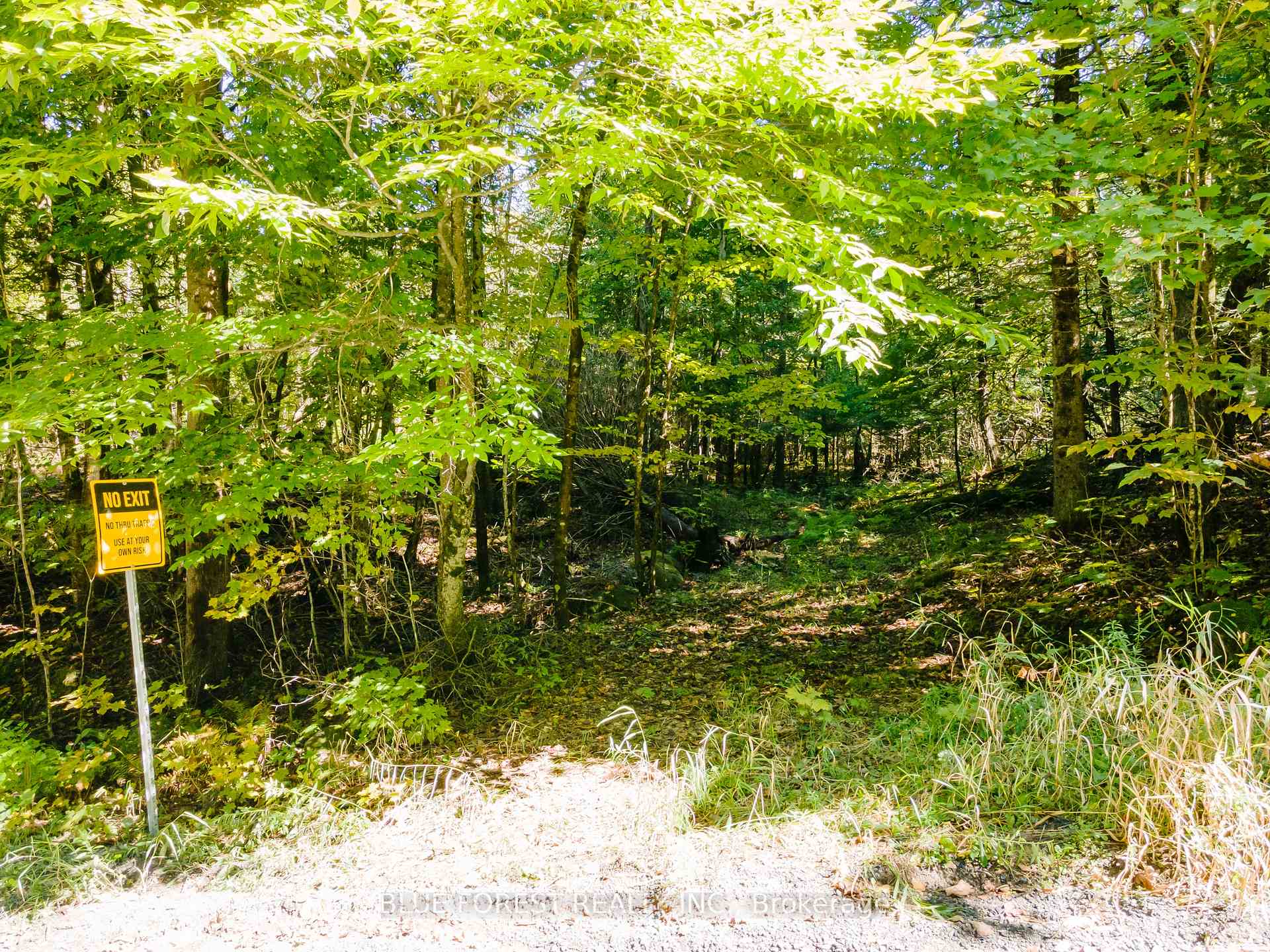 Photo 31 of lot 69 25th Line, Algonquin Highlands, Stanhope — HOMEH