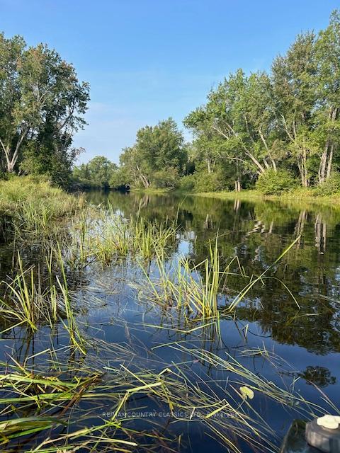 Photo 10 of 0000 Madawaska (York) River, Bancroft, Bancroft Ward — HOMEH