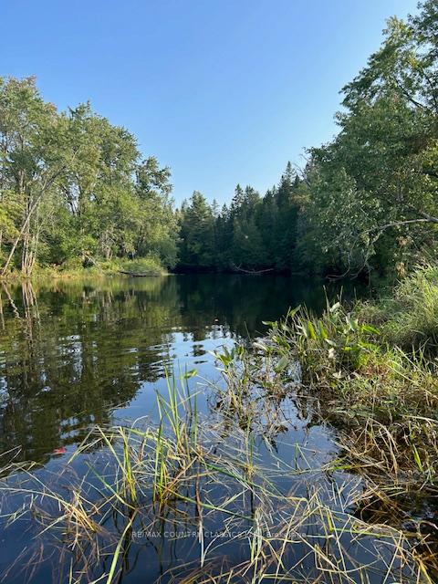 Photo 9 of 0000 Madawaska (York) River, Bancroft, Bancroft Ward — HOMEH