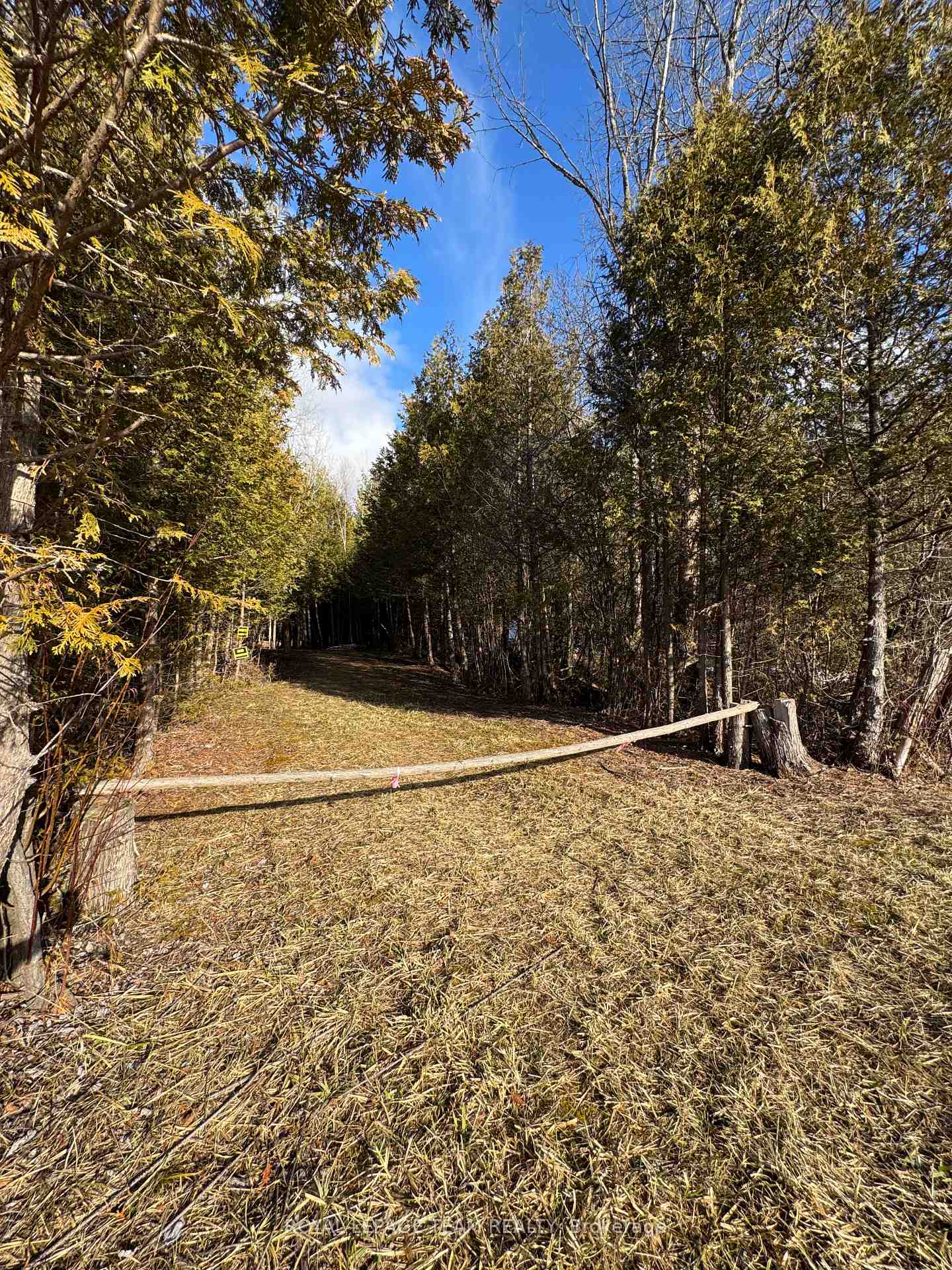 Photo 2 of 6775 Charleville Road, Augusta, Augusta Twp — HOMEH