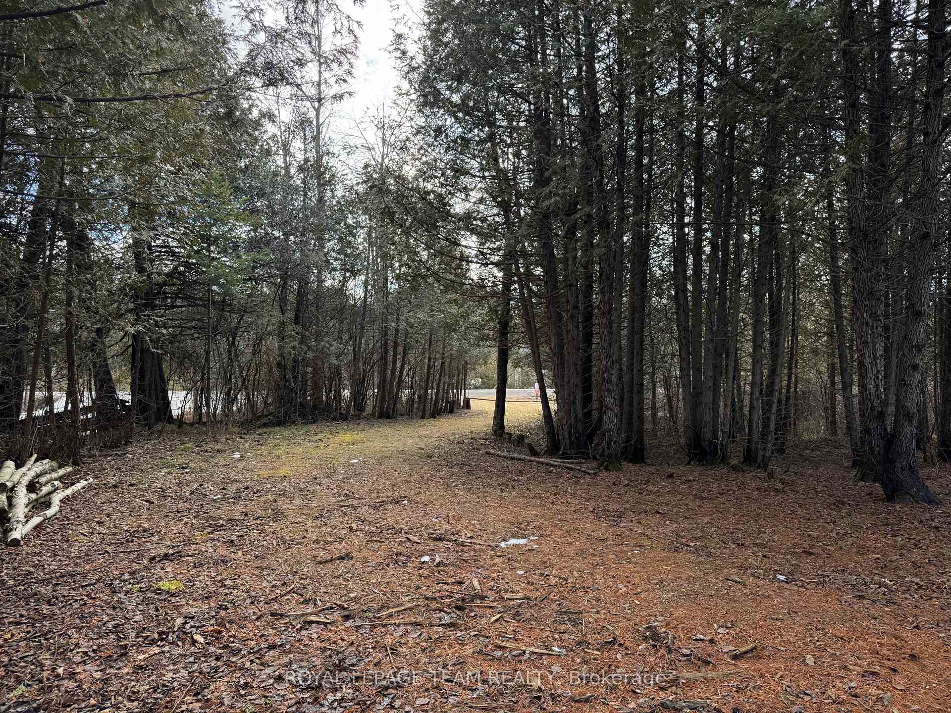Photo 4 of 6775 Charleville Road, Augusta, Augusta Twp — HOMEH