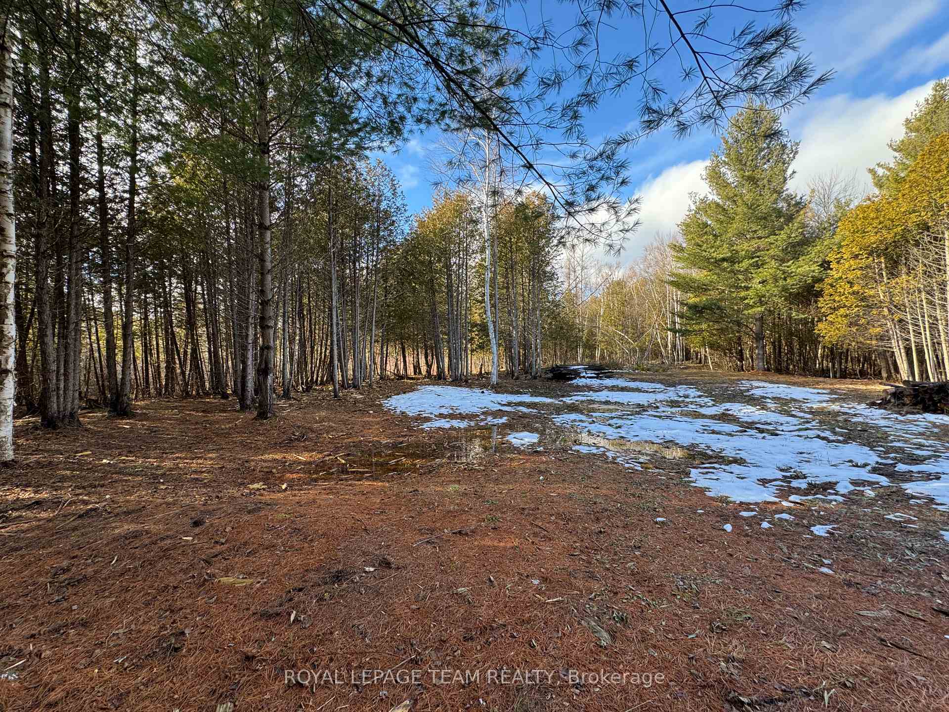 Photo 5 of 6775 Charleville Road, Augusta, Augusta Twp — HOMEH