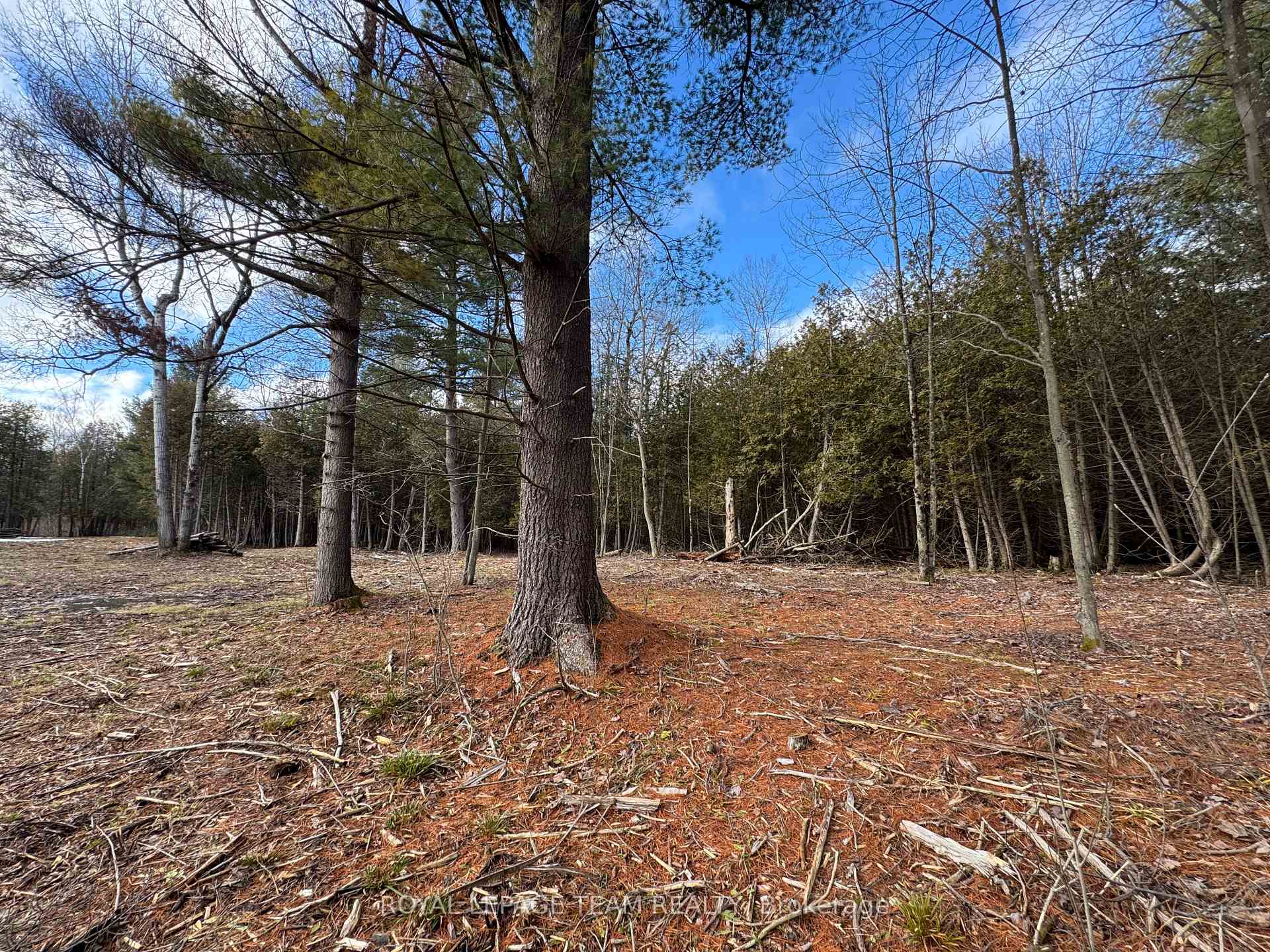 Photo 14 of 6775 Charleville Road, Augusta, Augusta Twp — HOMEH