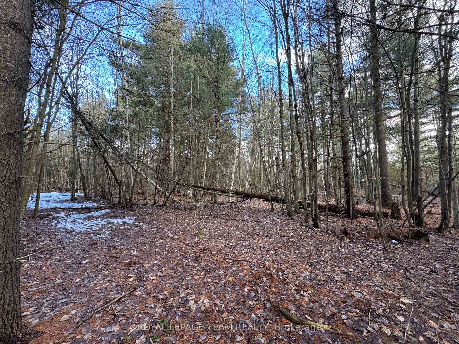 Photo 16 of 6775 Charleville Road, Augusta, Augusta Twp — HOMEH