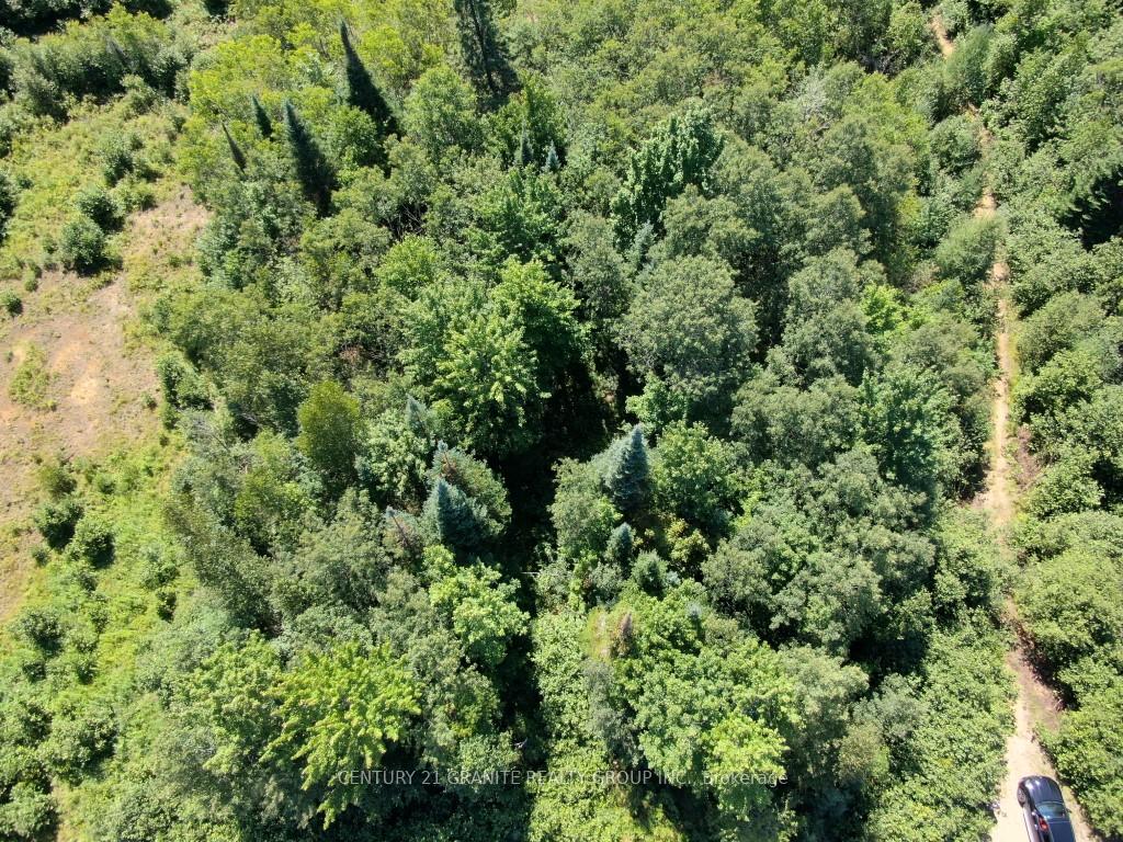 Photo 12 of LOT 21 Plan 21M216 Drive, Bancroft, Bancroft Ward — HOMEH