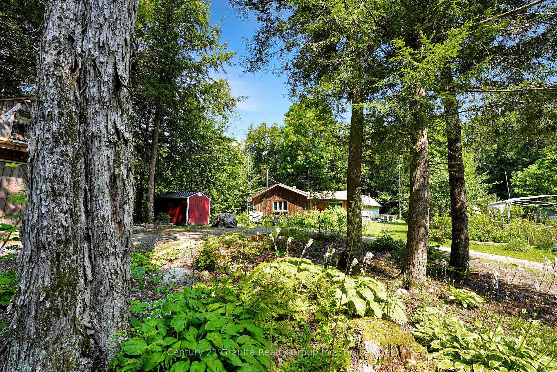 Photo 9 of 1842 Buckslide Road, Algonquin Highlands, Stanhope — HOMEH