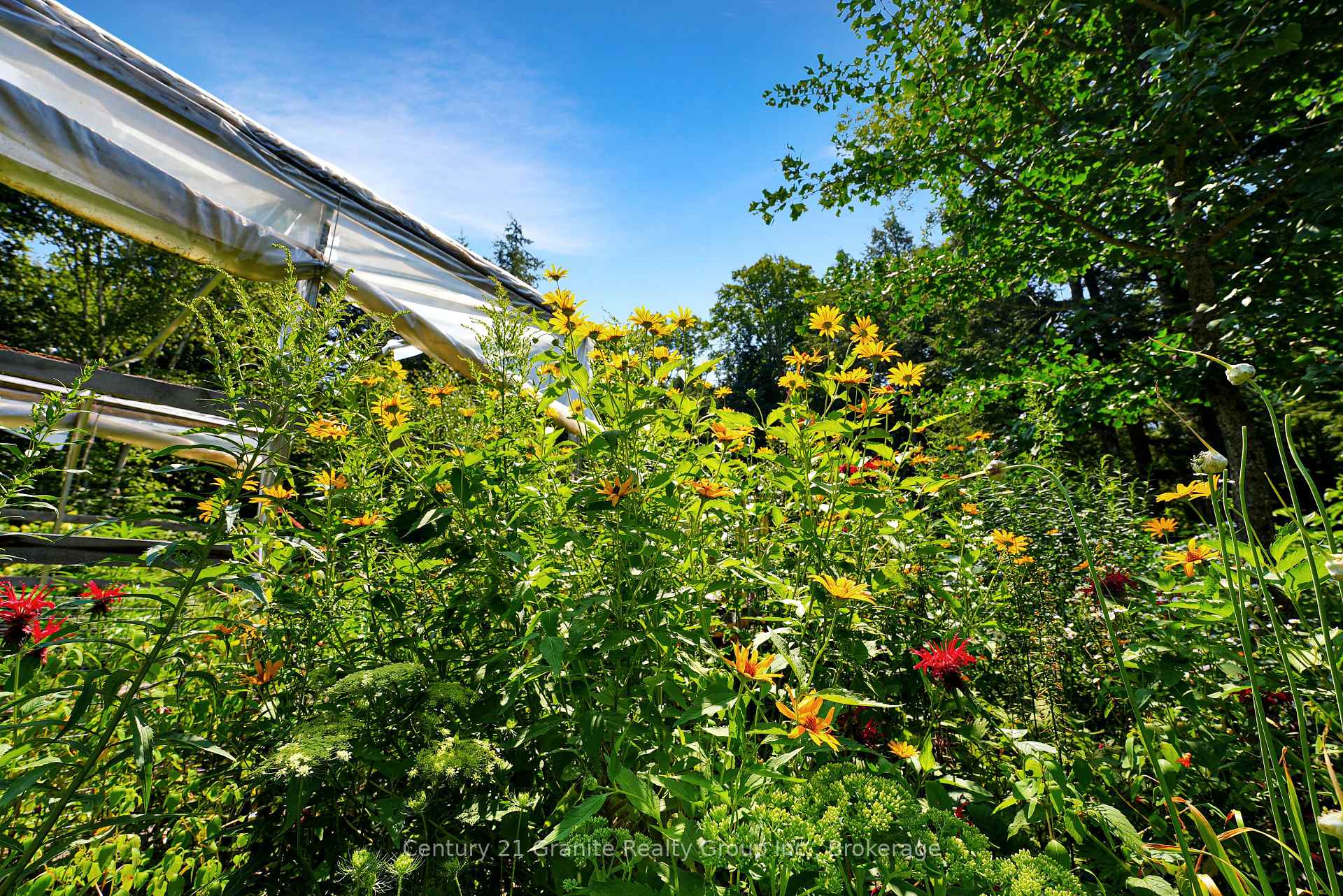 Photo 24 of 1842 Buckslide Road, Algonquin Highlands, Stanhope — HOMEH