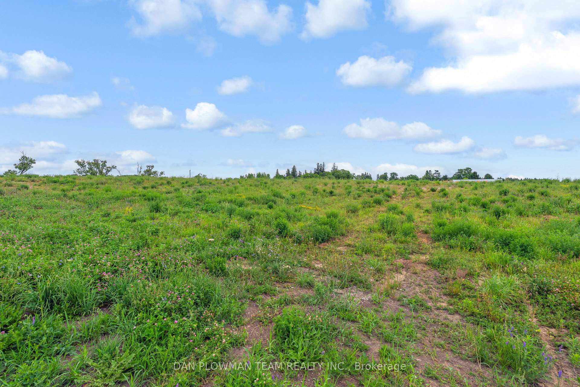 Photo 7 of 9749 Mud Lake Road, Whitby, Rural Whitby — HOMEH