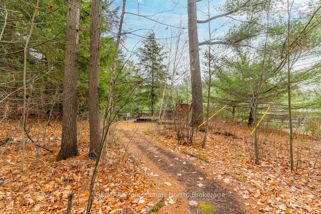 Photo 33 of 1012 Parasol Drive, Algonquin Highlands, Stanhope — HOMEH