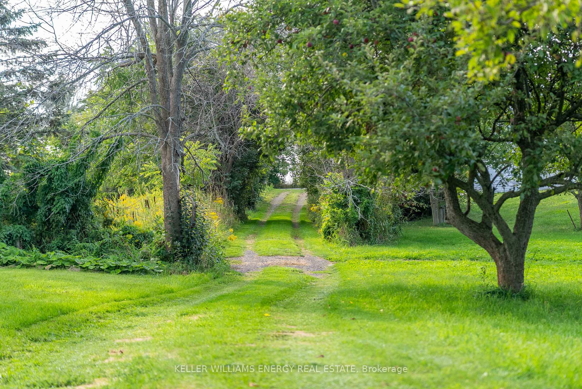 Photo 36 of 2657 County Road 13, Prince Edward County, South Marysburg Ward — HOMEH