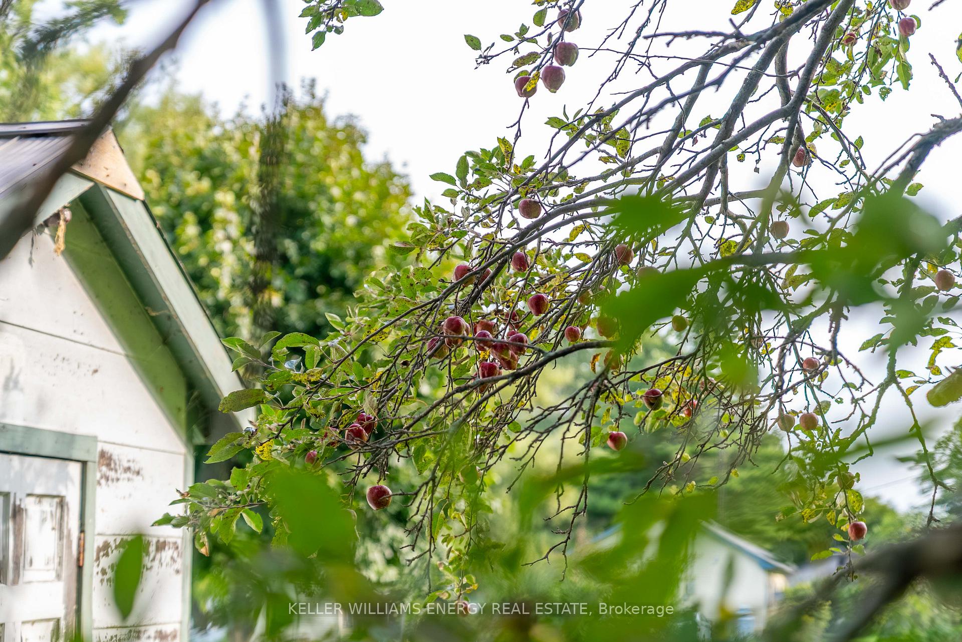Photo 42 of 2657 County Road 13, Prince Edward County, South Marysburg Ward — HOMEH