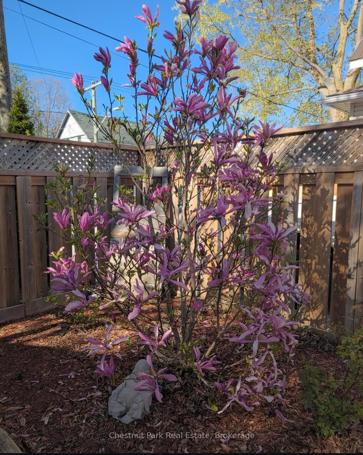 Photo 39 of 175 4TH St SW, Arran-Elderslie — HOMEH