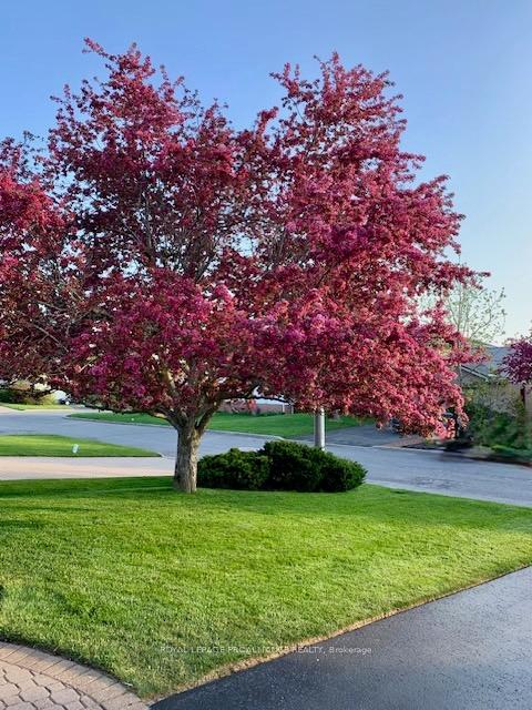 Photo 41 of 27 Northumberland Boulevard, Quinte West, Trenton Ward — HOMEH