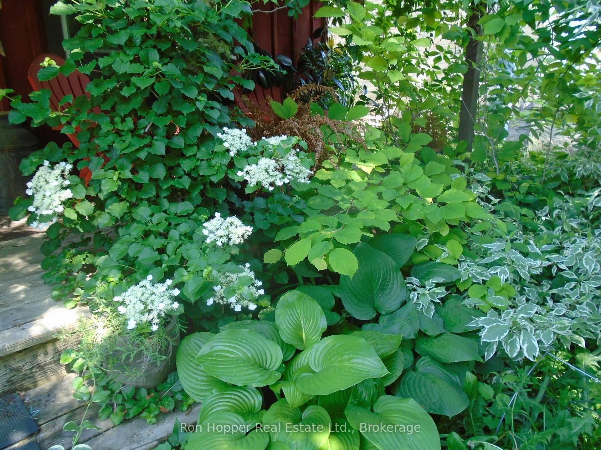 Photo 5 of 78 2nd SW Avenue, Arran-Elderslie — HOMEH