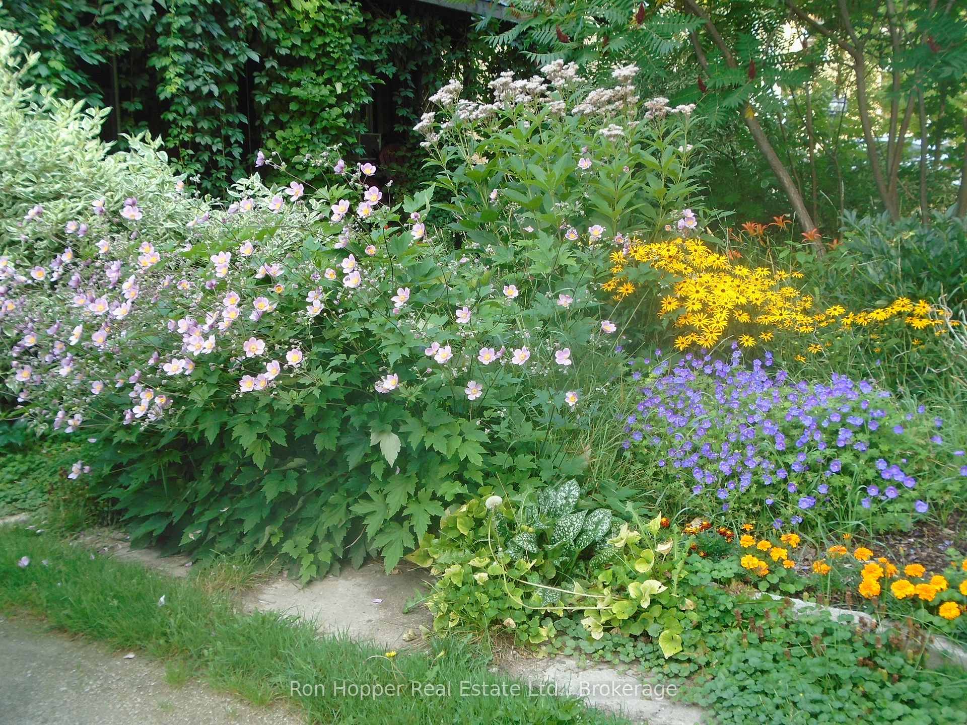 Photo 7 of 78 2nd SW Avenue, Arran-Elderslie — HOMEH