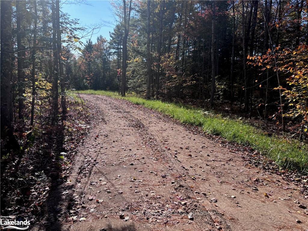Photo 6 of LOT 3, Algonquin Highlands, Stanhope — HOMEH
