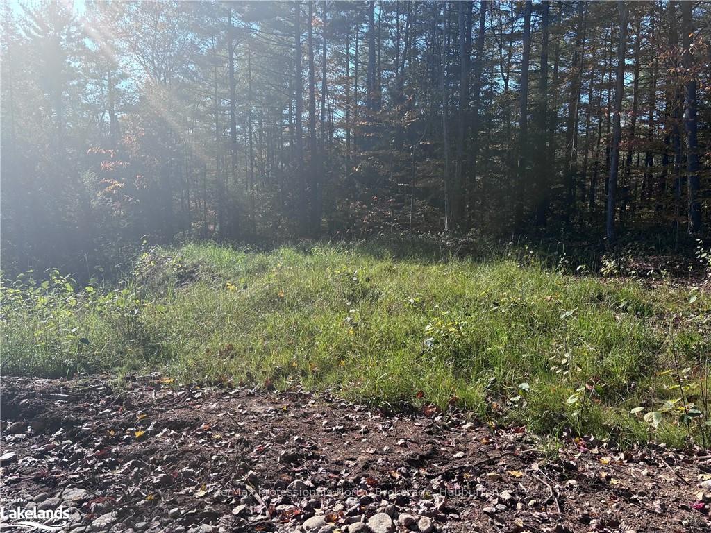 Photo 10 of LOT 3, Algonquin Highlands, Stanhope — HOMEH