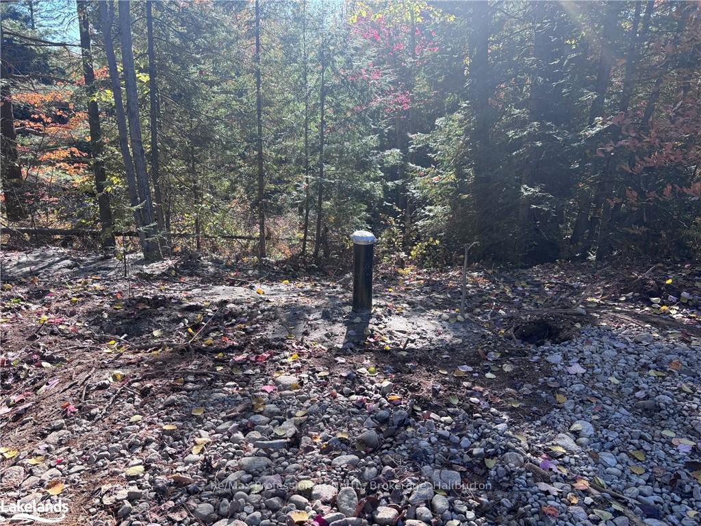 Photo 7 of LOT 3, Algonquin Highlands, Stanhope — HOMEH