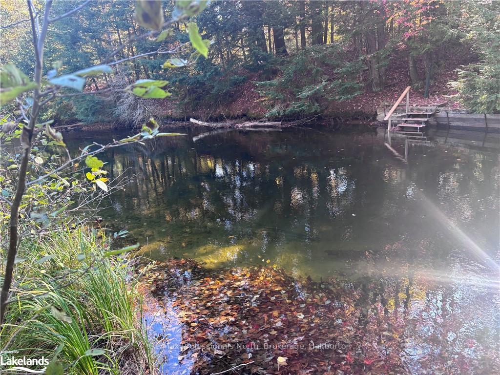 Photo 8 of LOT 3, Algonquin Highlands, Stanhope — HOMEH