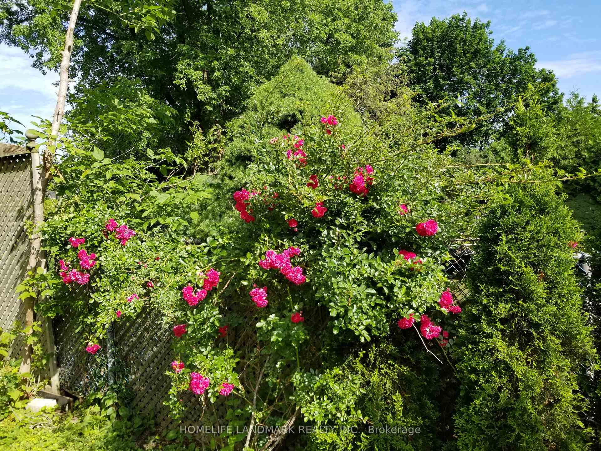 Photo 45 of 170 Springhead Gardens, Richmond Hill, North Richvale — HOMEH