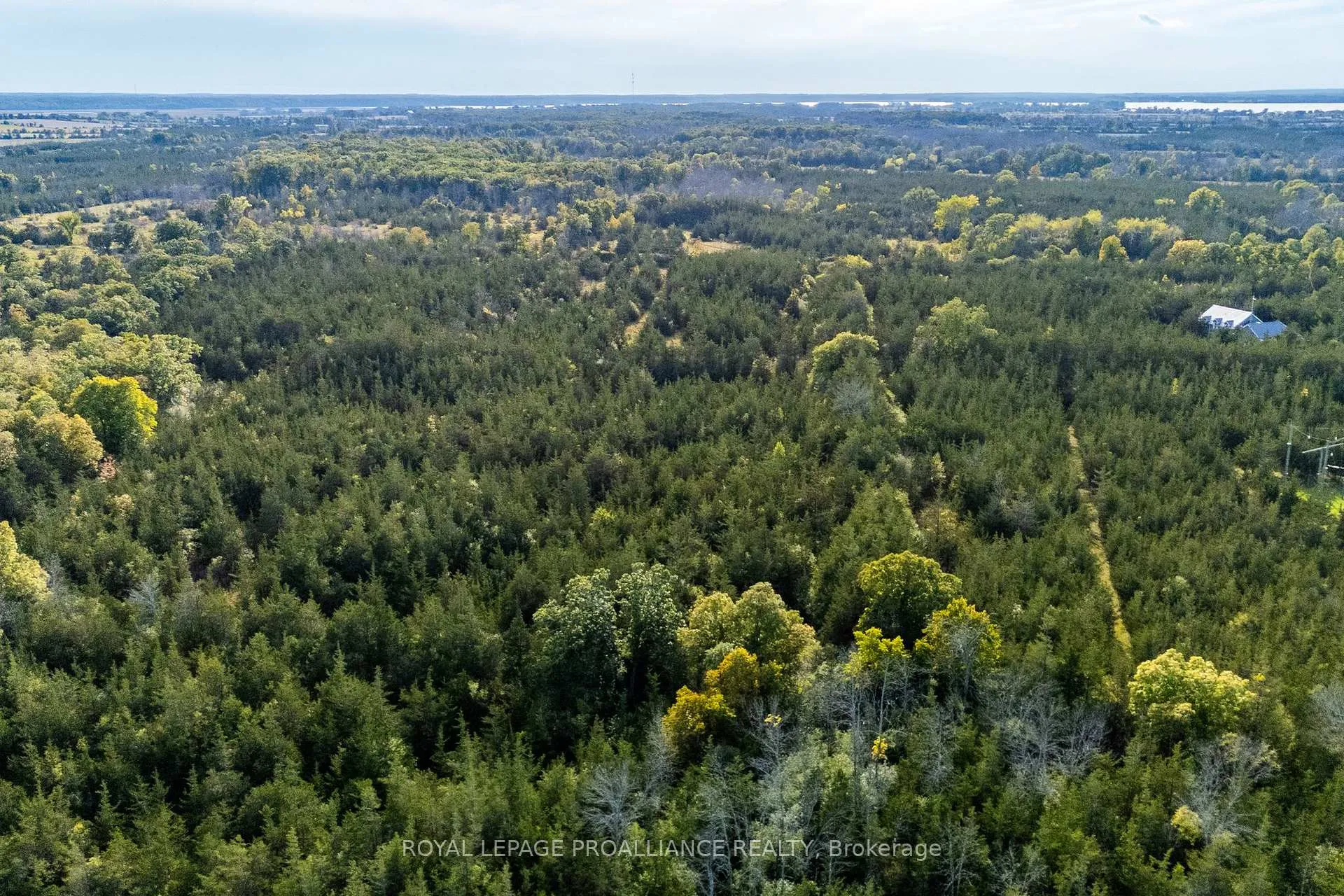 Photo 9 of Lot 45 Sprague Road, Prince Edward County, Sophiasburg Ward — HOMEH