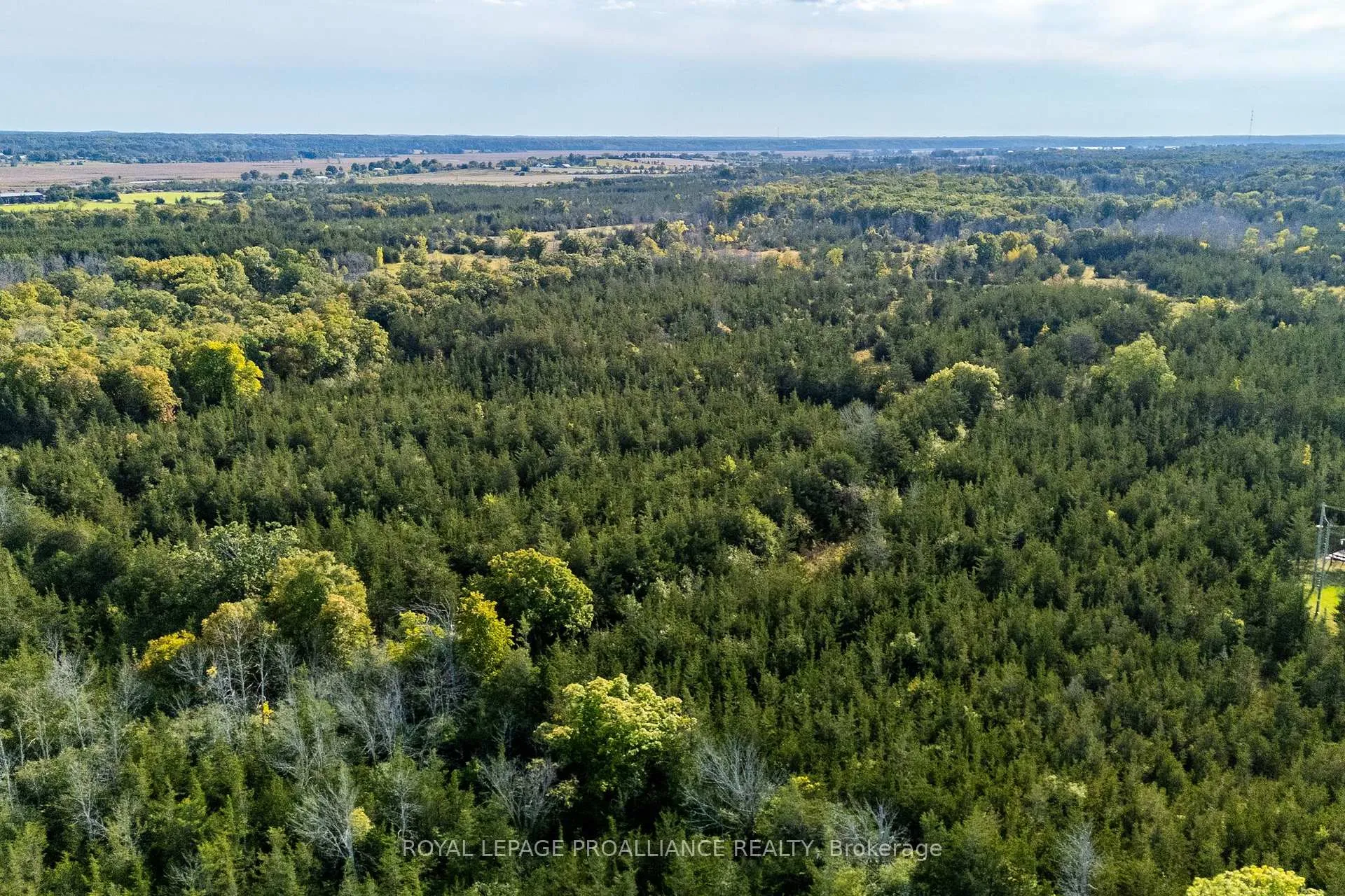 Photo 10 of Lot 45 Sprague Road, Prince Edward County, Sophiasburg Ward — HOMEH