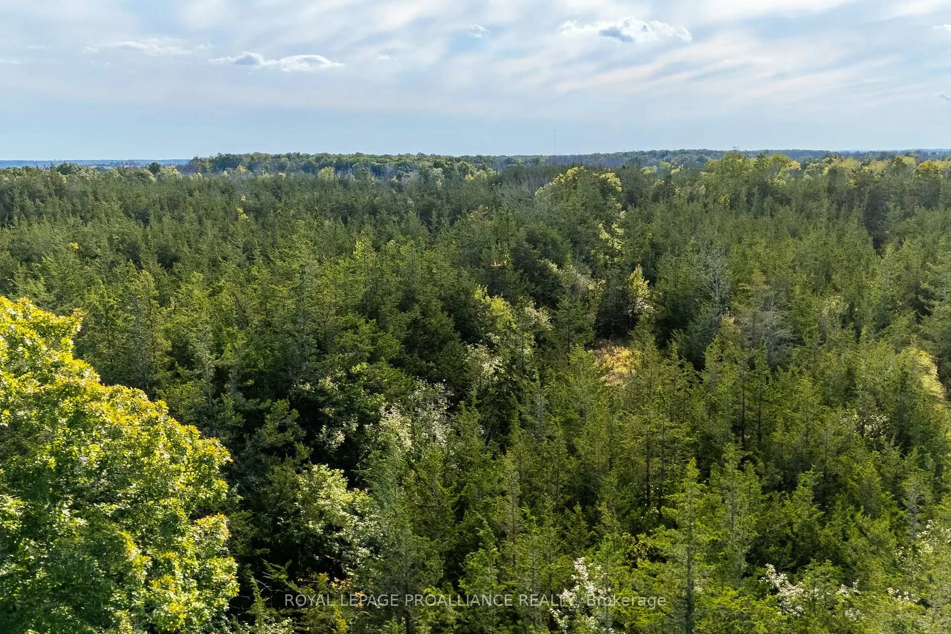 Photo 11 of Lot 45 Sprague Road, Prince Edward County, Sophiasburg Ward — HOMEH
