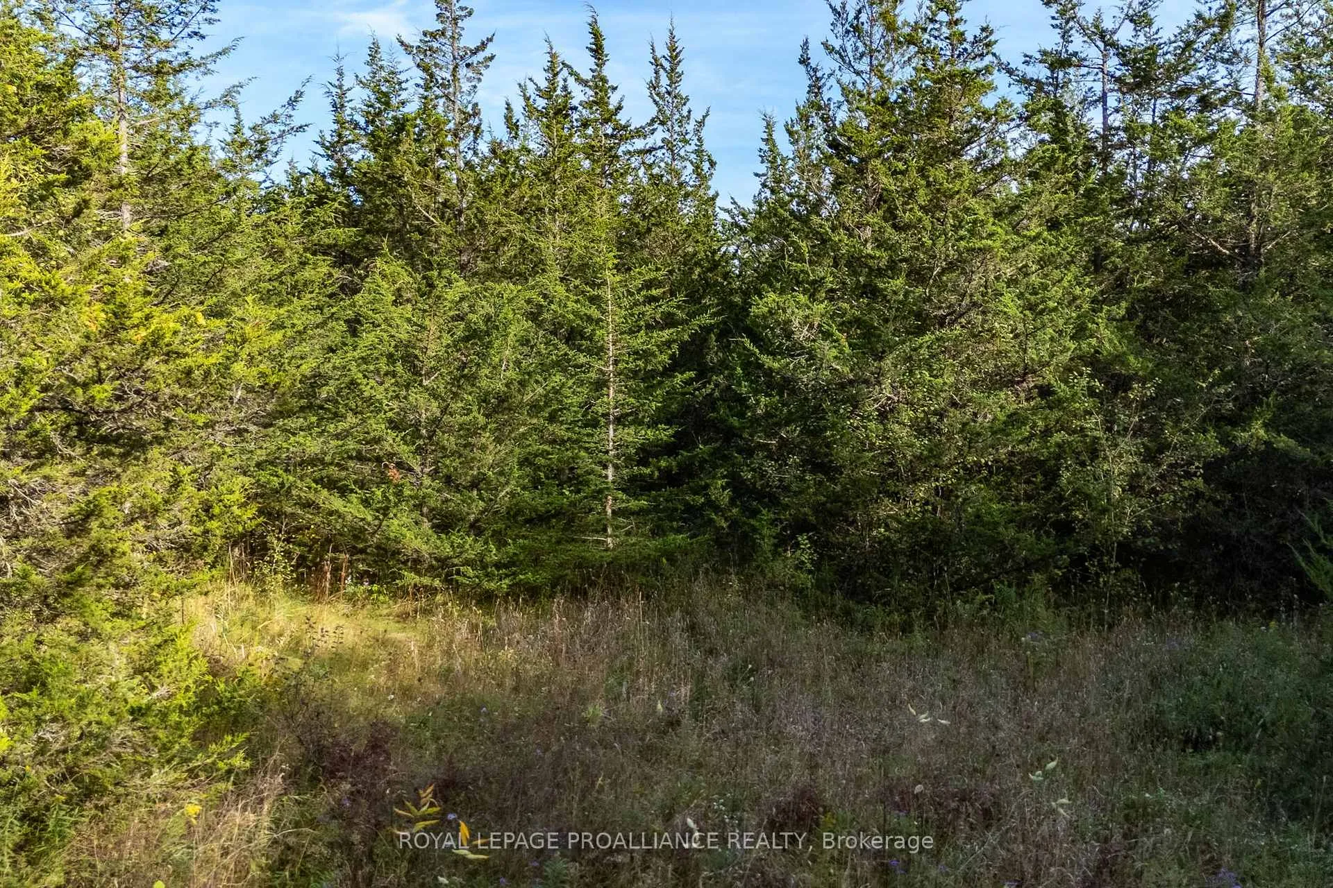 Photo 12 of Lot 45 Sprague Road, Prince Edward County, Sophiasburg Ward — HOMEH