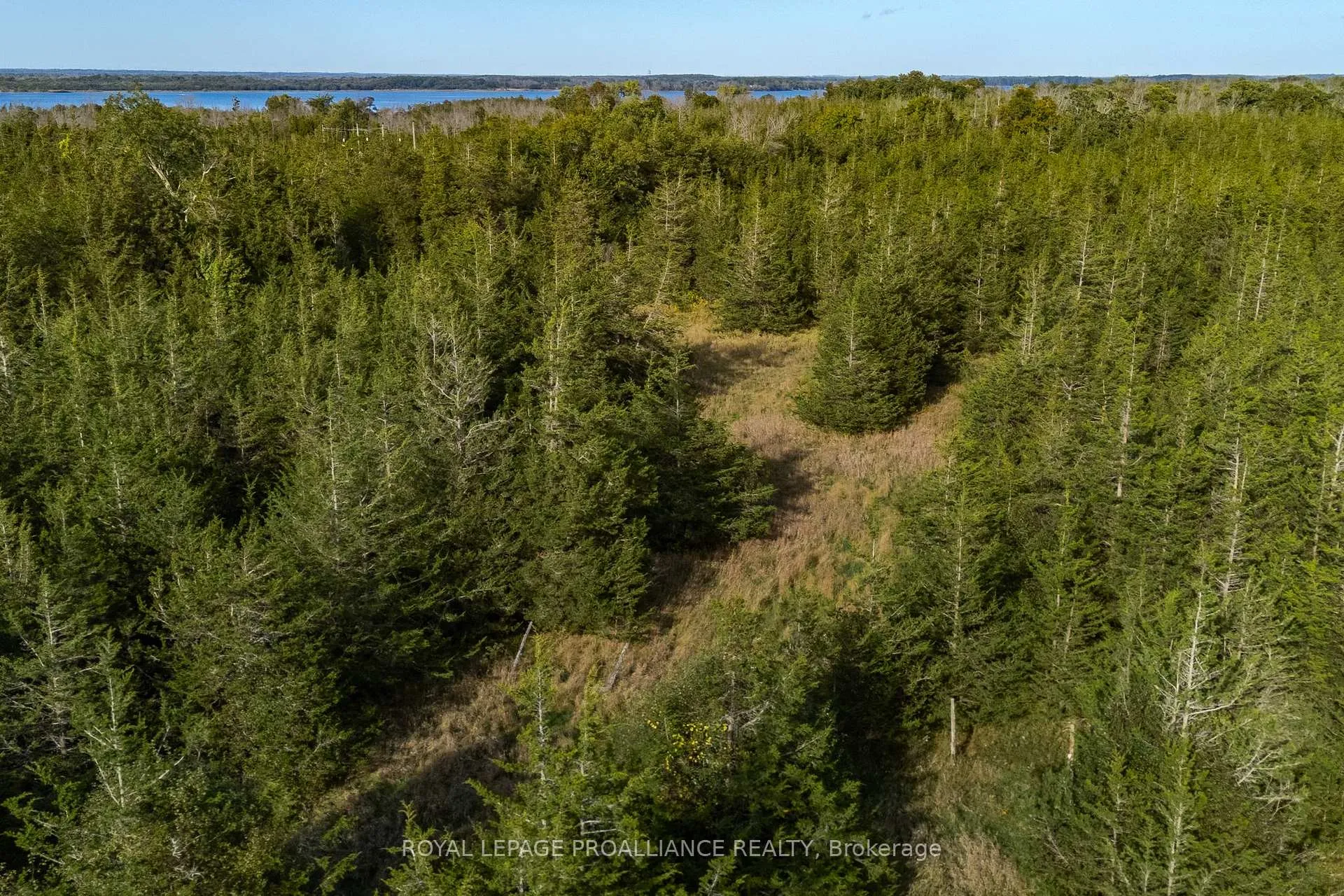 Photo 13 of Lot 45 Sprague Road, Prince Edward County, Sophiasburg Ward — HOMEH