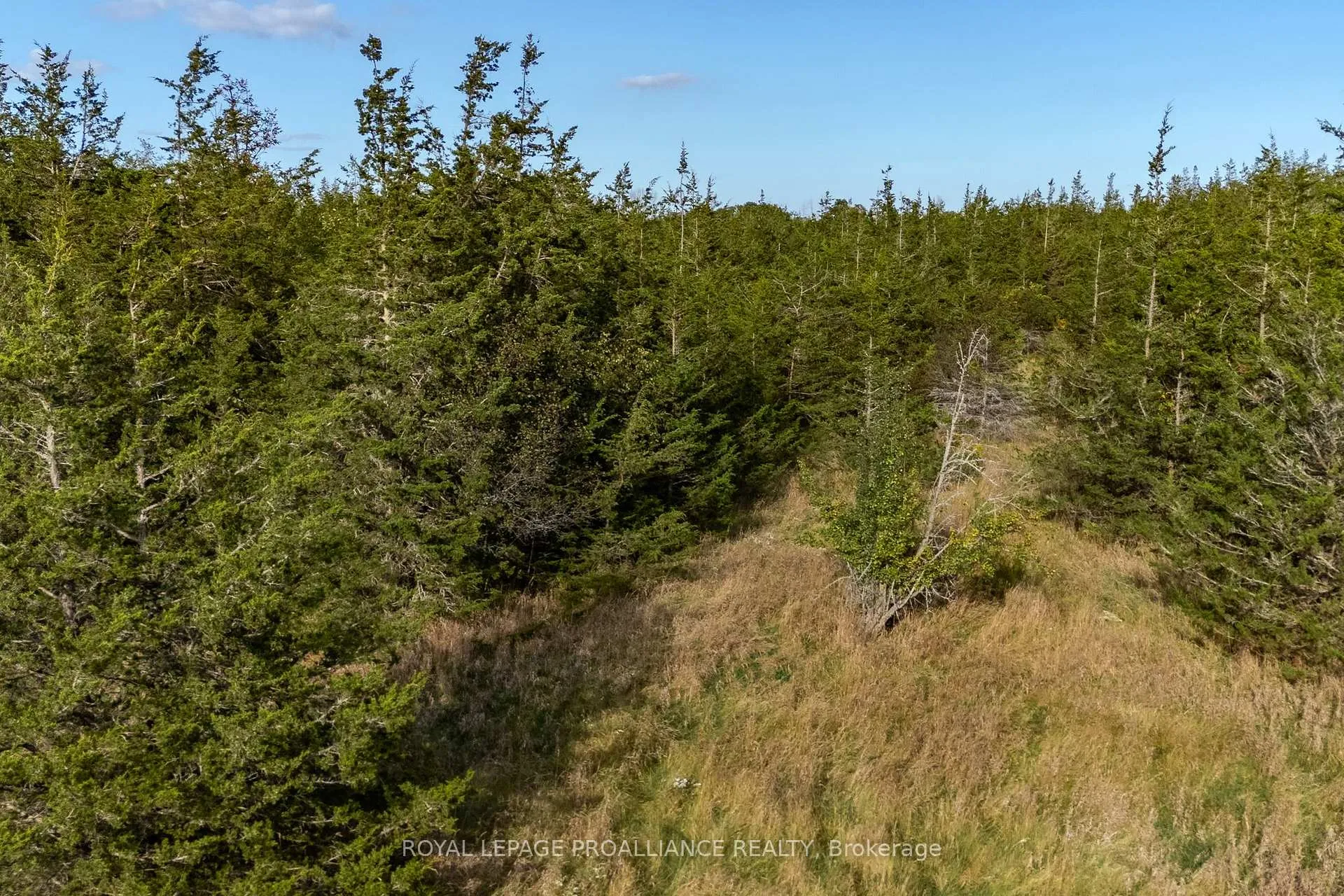Photo 14 of Lot 45 Sprague Road, Prince Edward County, Sophiasburg Ward — HOMEH