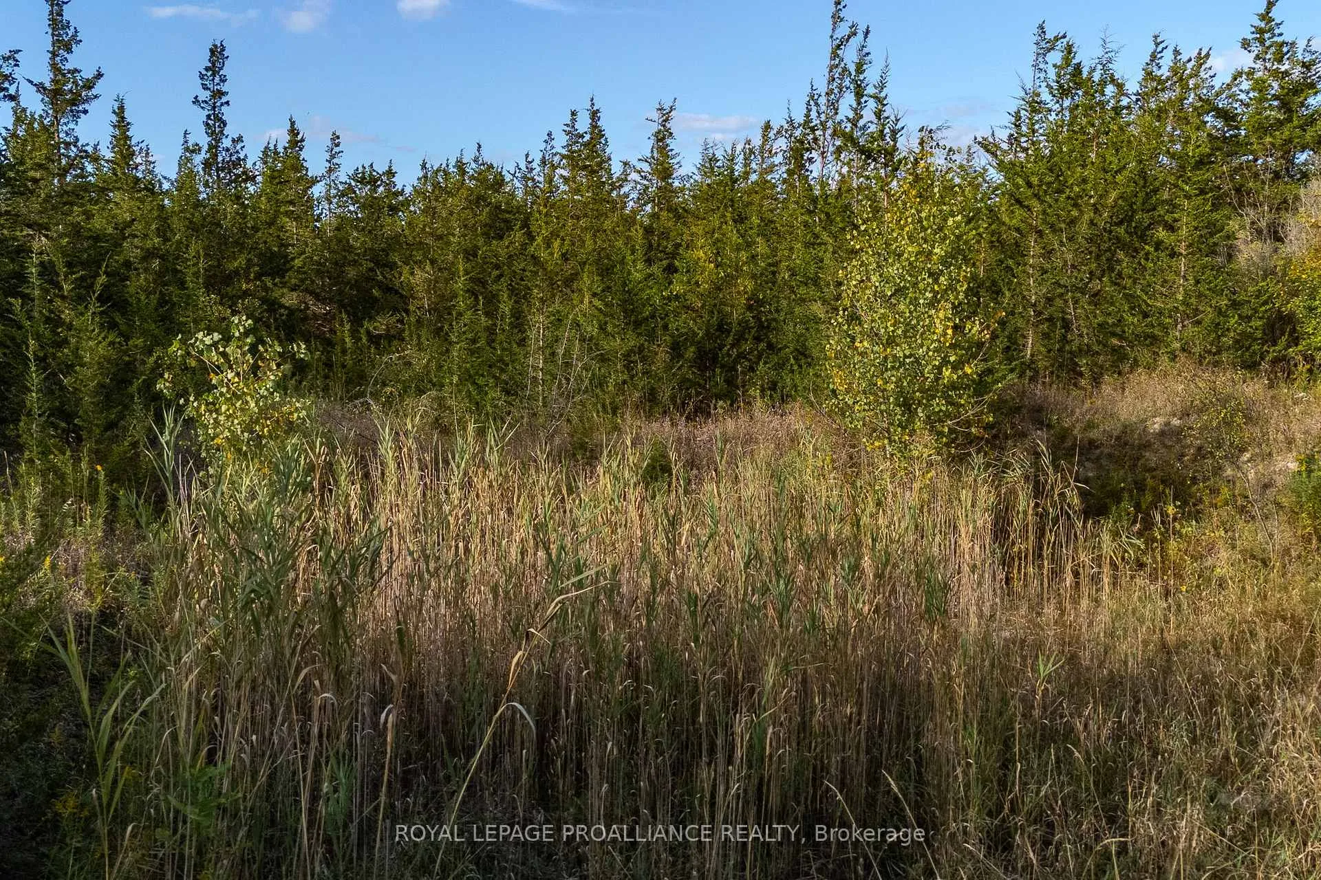 Photo 15 of Lot 45 Sprague Road, Prince Edward County, Sophiasburg Ward — HOMEH