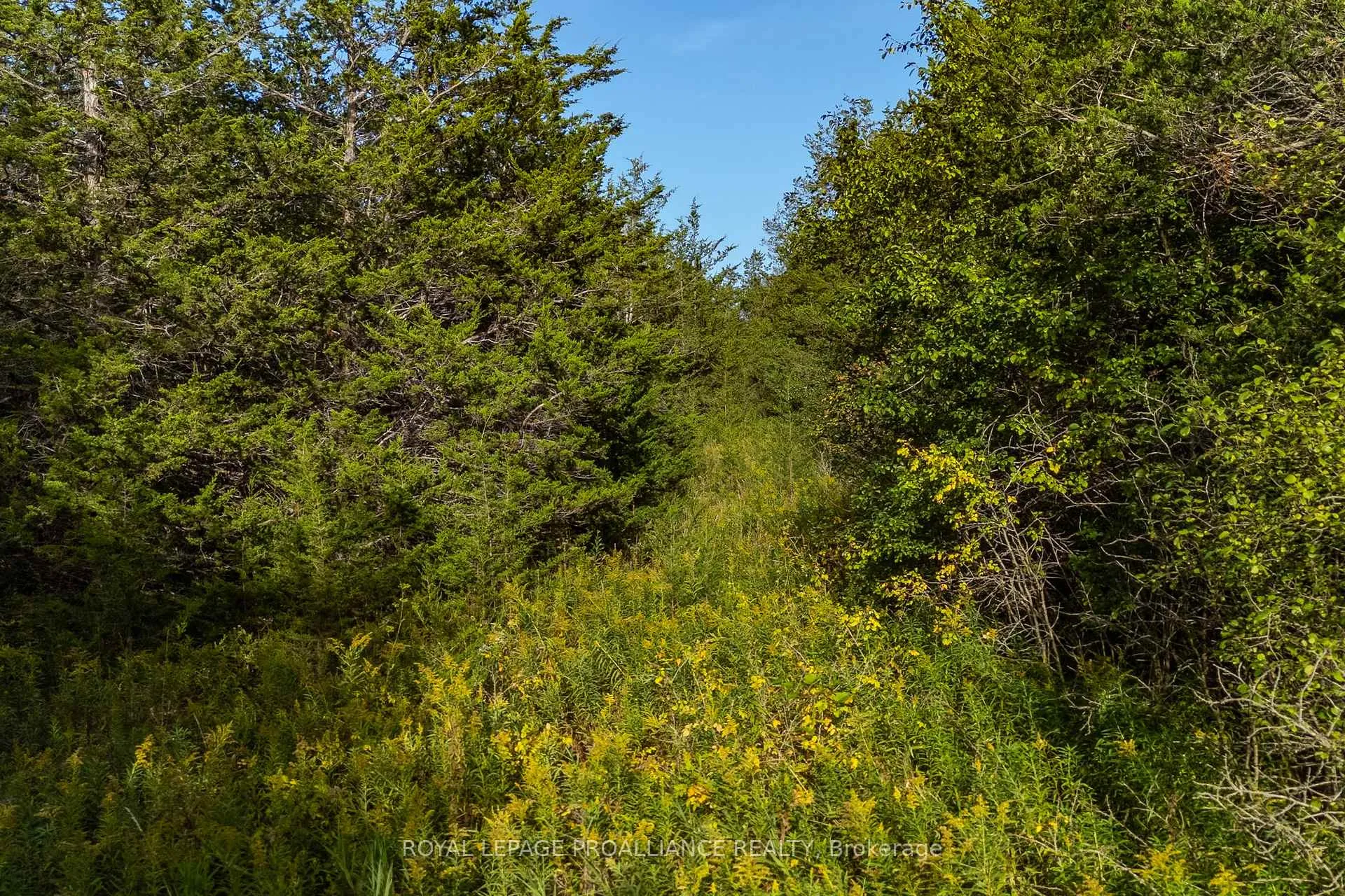 Photo 16 of Lot 45 Sprague Road, Prince Edward County, Sophiasburg Ward — HOMEH