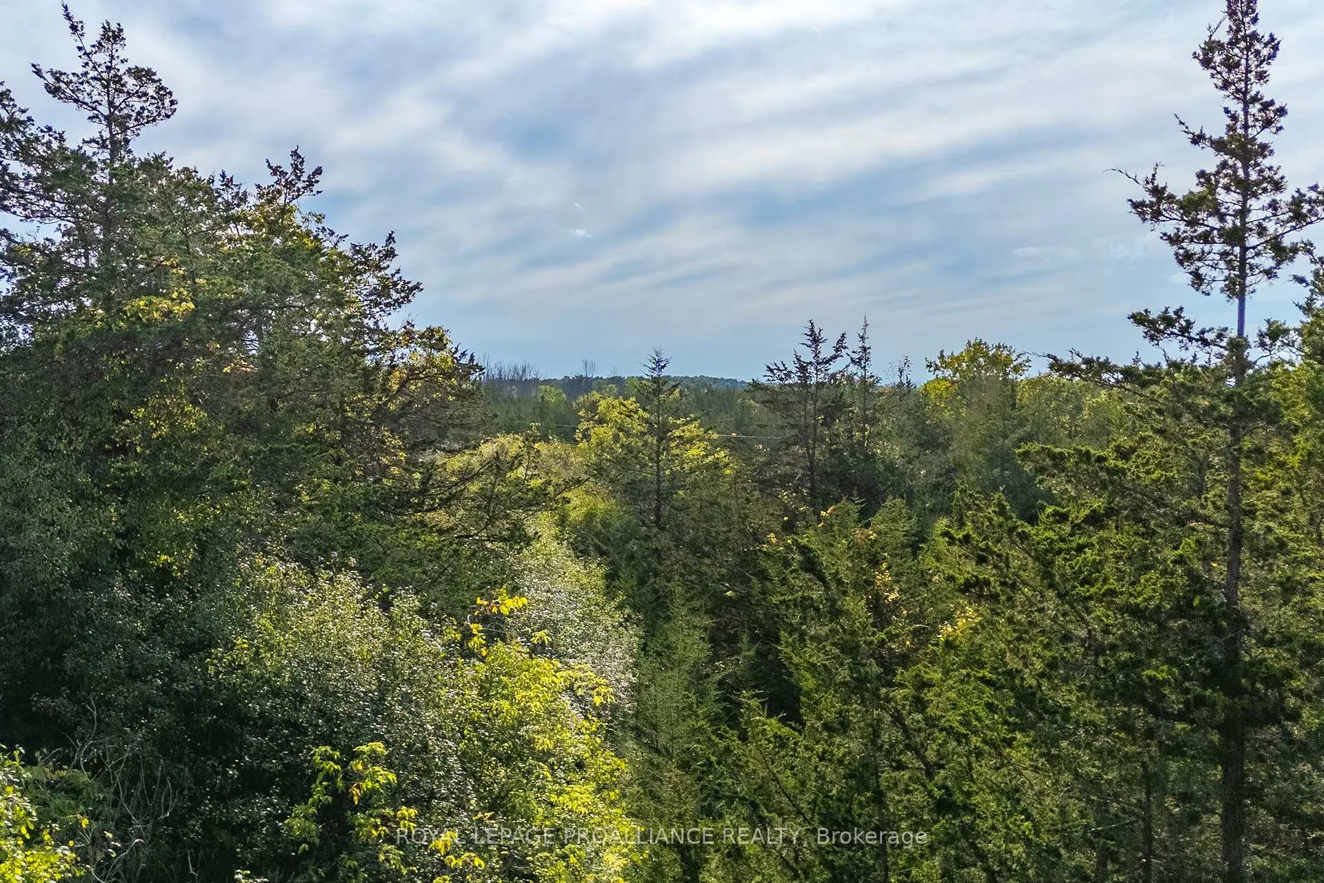 Photo 17 of Lot 45 Sprague Road, Prince Edward County, Sophiasburg Ward — HOMEH