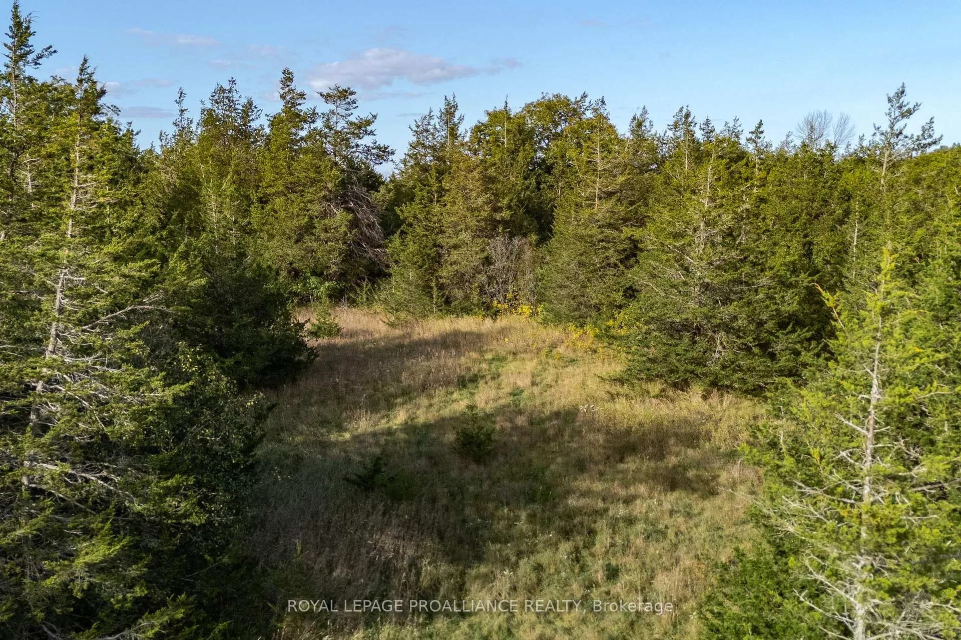Photo 18 of Lot 45 Sprague Road, Prince Edward County, Sophiasburg Ward — HOMEH