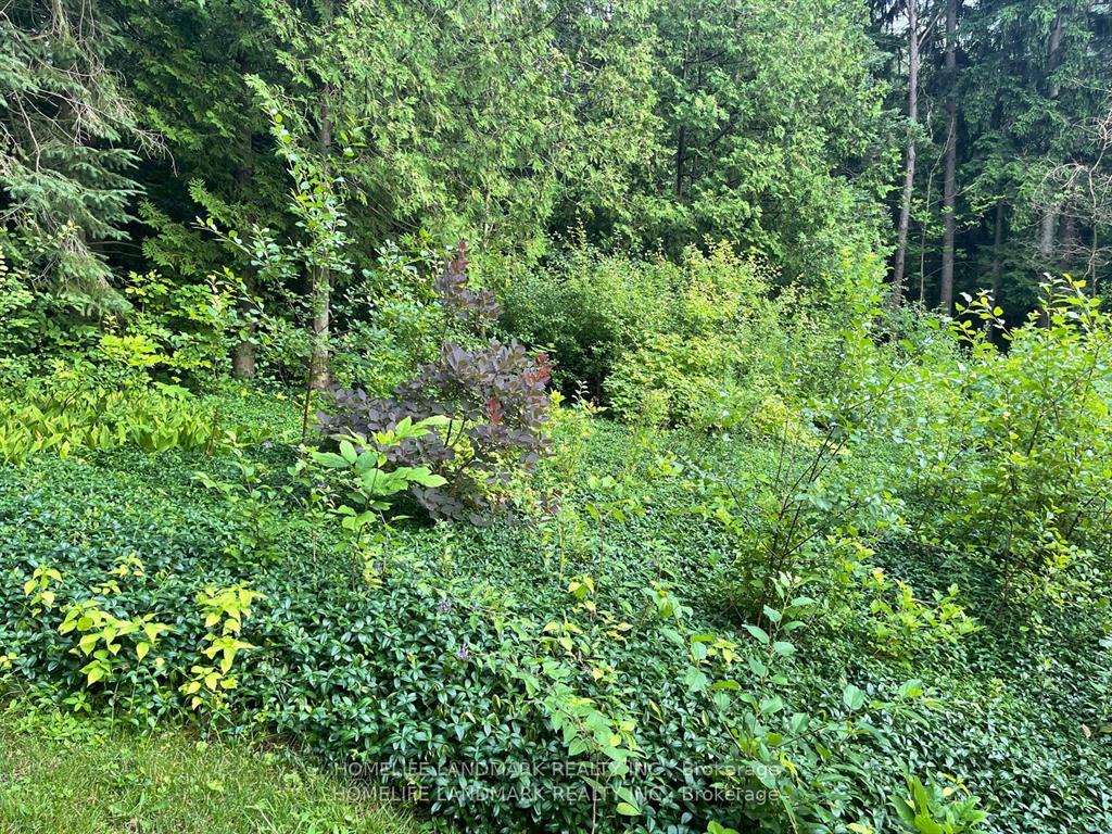 Photo 33 of 34 Steeplechase Avenue, Aurora, Aurora Estates — HOMEH