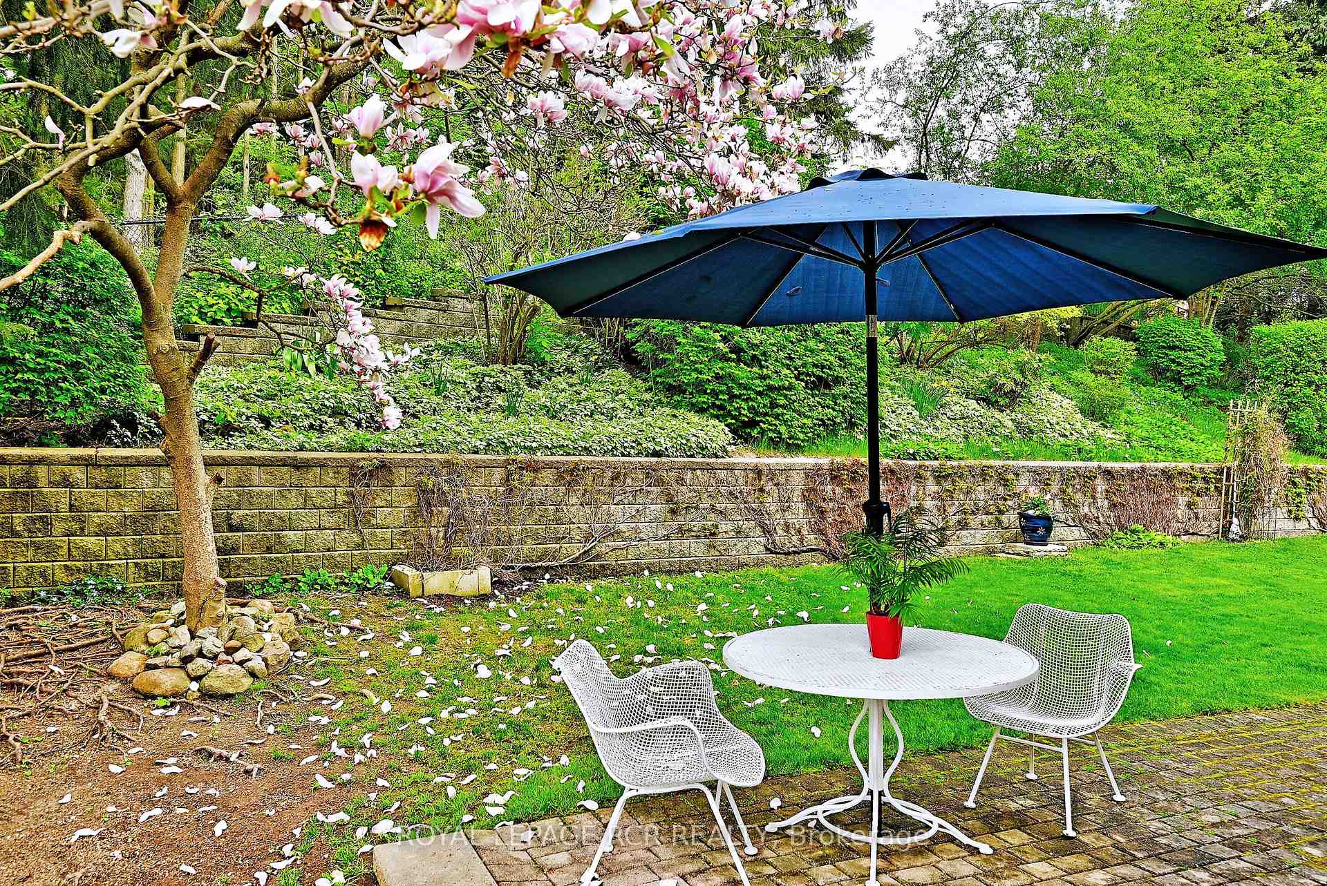 Photo 33 of 34 Cady Court, Aurora, Aurora Highlands — HOMEH