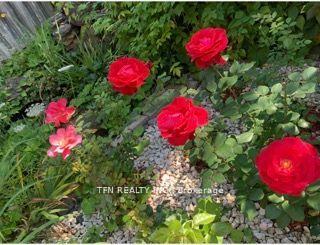 Photo 34 of 189 Humberland Drive, Richmond Hill, Oak Ridges — HOMEH
